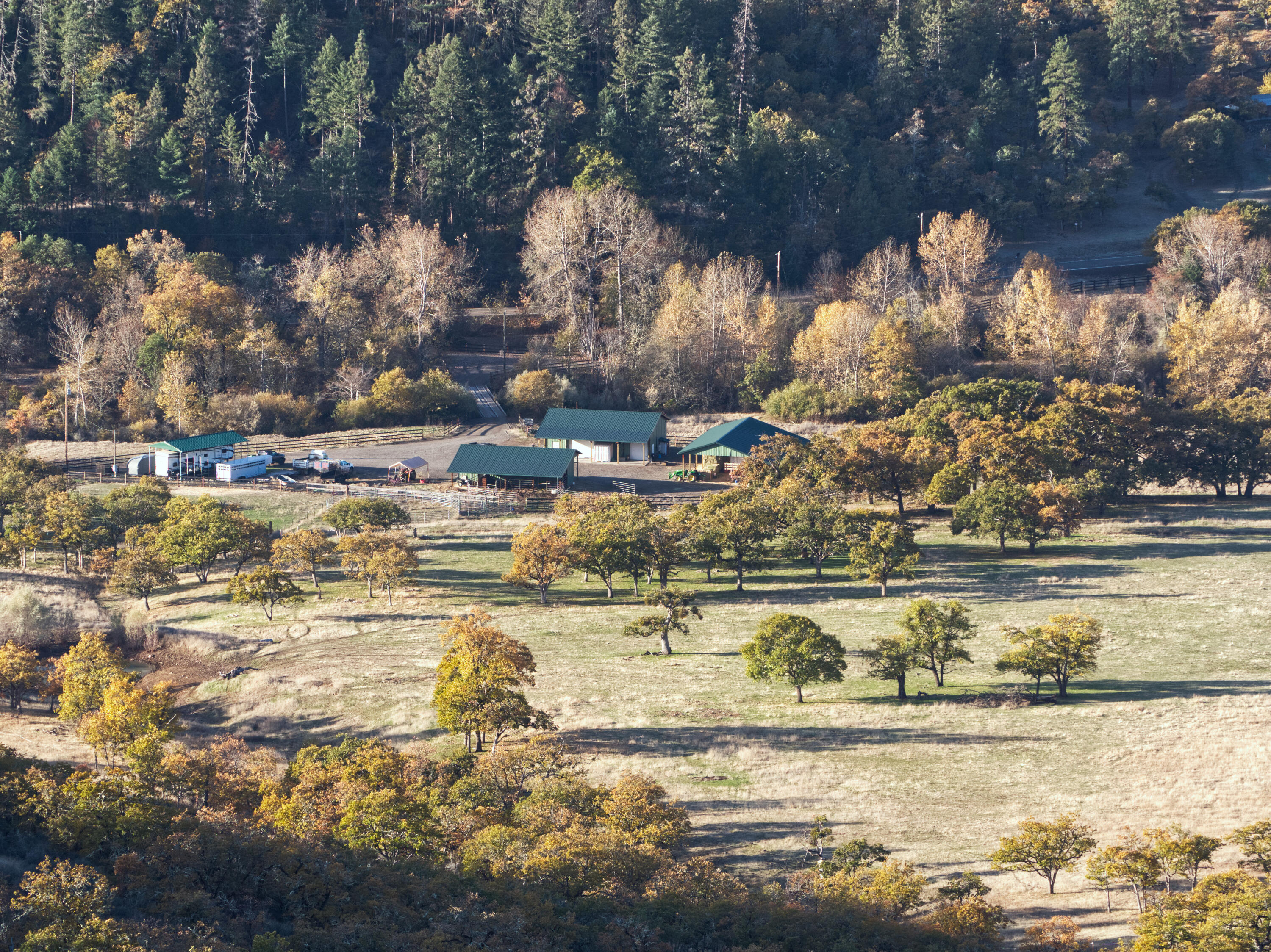 N/A - Farm