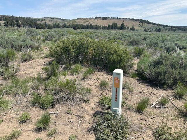 Klamath Forest Estates - Land