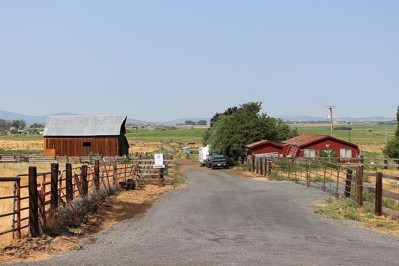 PASTURE RANCH along mi of Lost River in Henley area. 240 acres, approximately 195 acres irrigated with estimated stocking rate of 300 yearlings. Perfect for horses or purebred operation. Fenced, cross fenced, corrals, scale, livestock/hay barn & shop, pumps, mainline, 5 guns, much equipment included. 3 bedroom home overlooking the river valley, and there is a wooded butte with beautiful building site opportunities. Abundance of waterfowl, cranes and birds of prey along peaceful & private Lost River frontage. Geothermal well is 1 mile +/- deep, 300 degrees and lease is included.