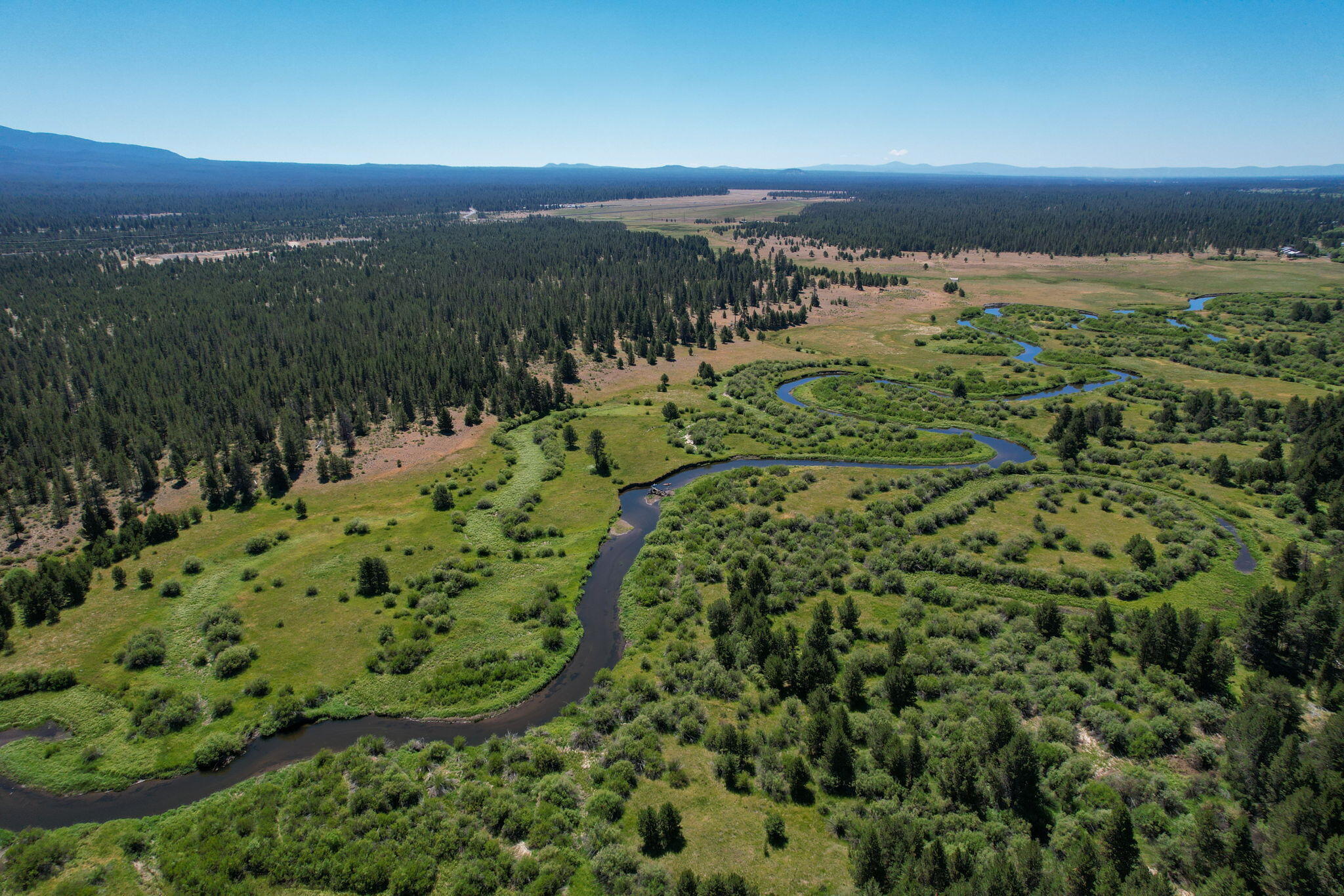 Lapine - Land
