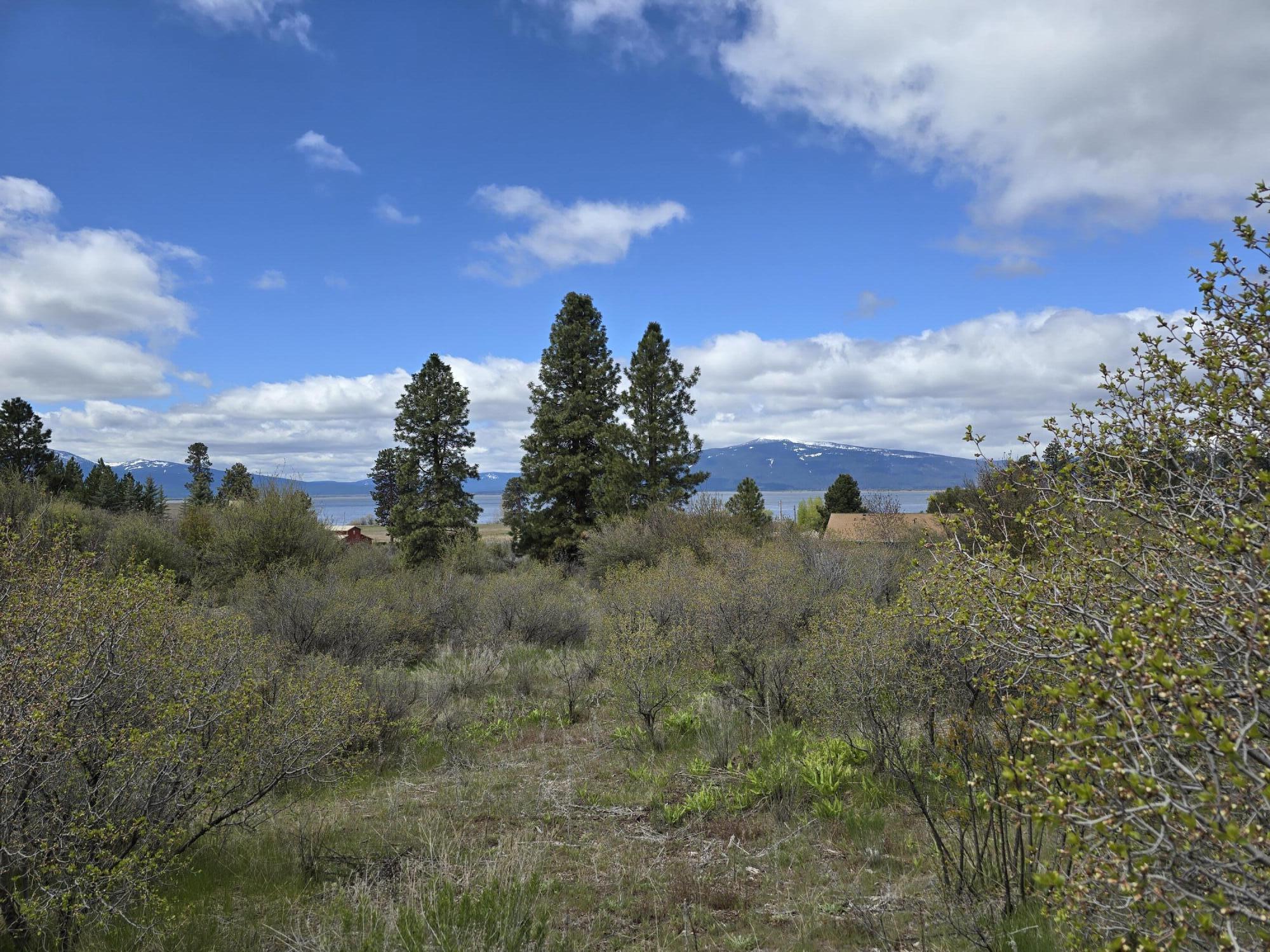 Oregon Shores -Unit 2-First Addition - Land