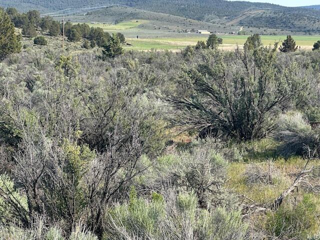 Sprague River Valley Acres - Land