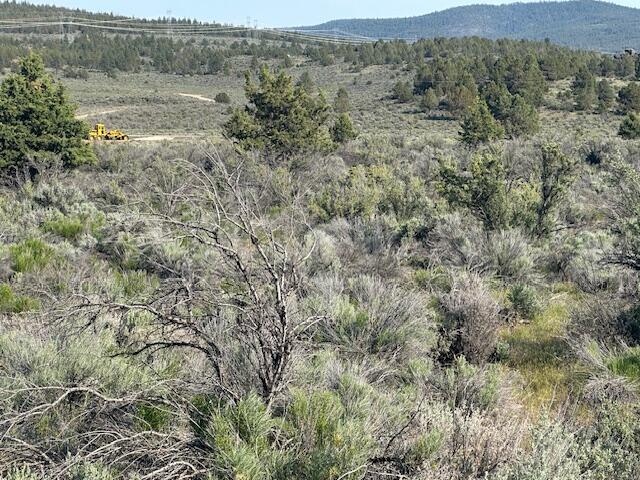 Sprague River Valley Acres - Land