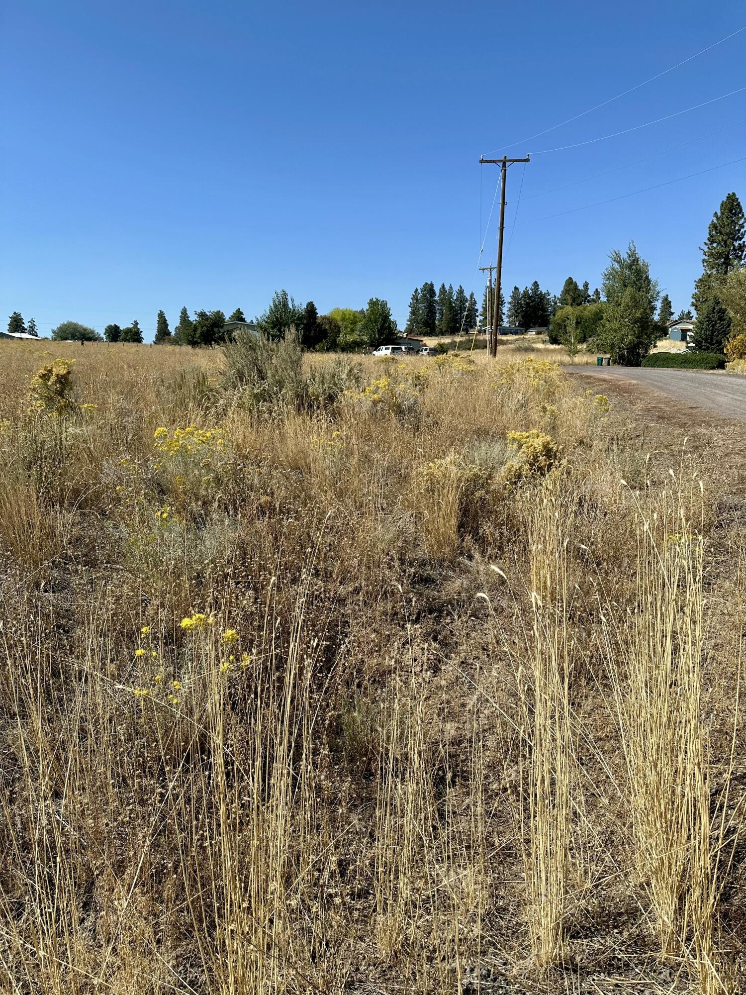 Build your future getaway or permeant residence on this vacant lot located in the desirable Oregon Shores community near Agency Lake. With stunning mountain views and nearby recreational activities like fishing, boating, hiking and more you'll have the perfect base for enjoying everything Klamath county has to offer. Buyer is to do their own due diligence regarding zoning and building.