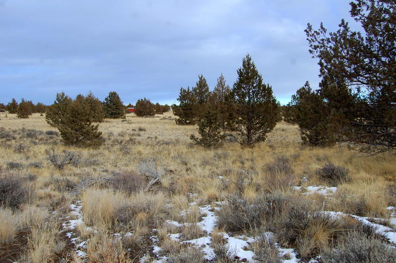 Ochoco Land + Livest - Land