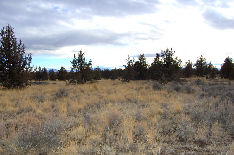 Ochoco Land + Livest - Land