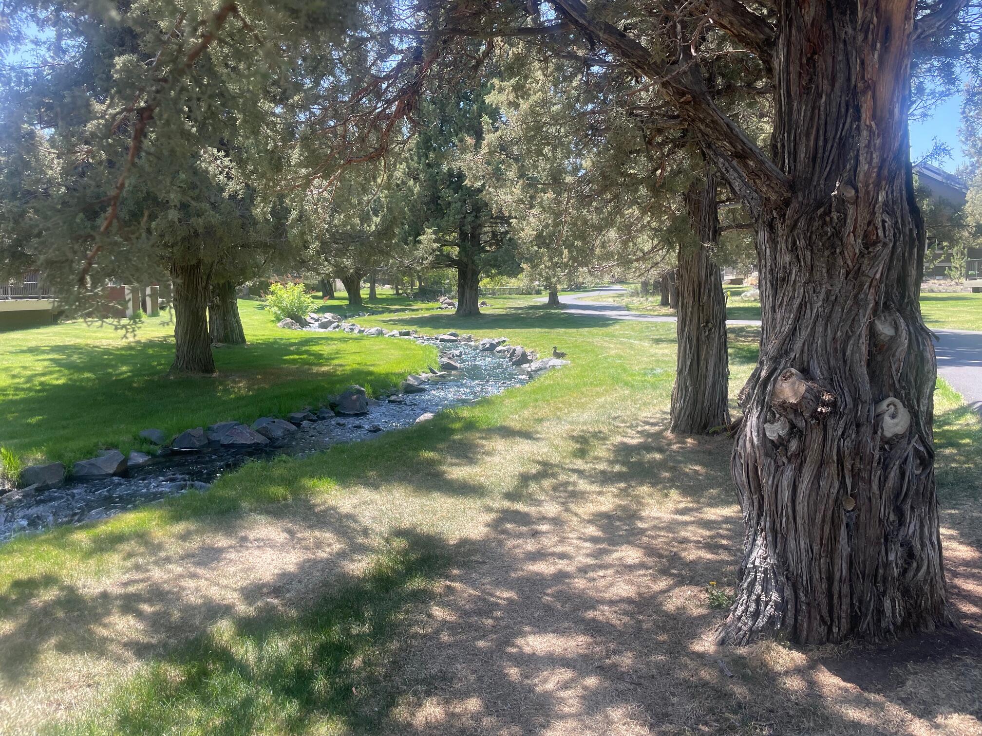 Eagle Crest - Residential