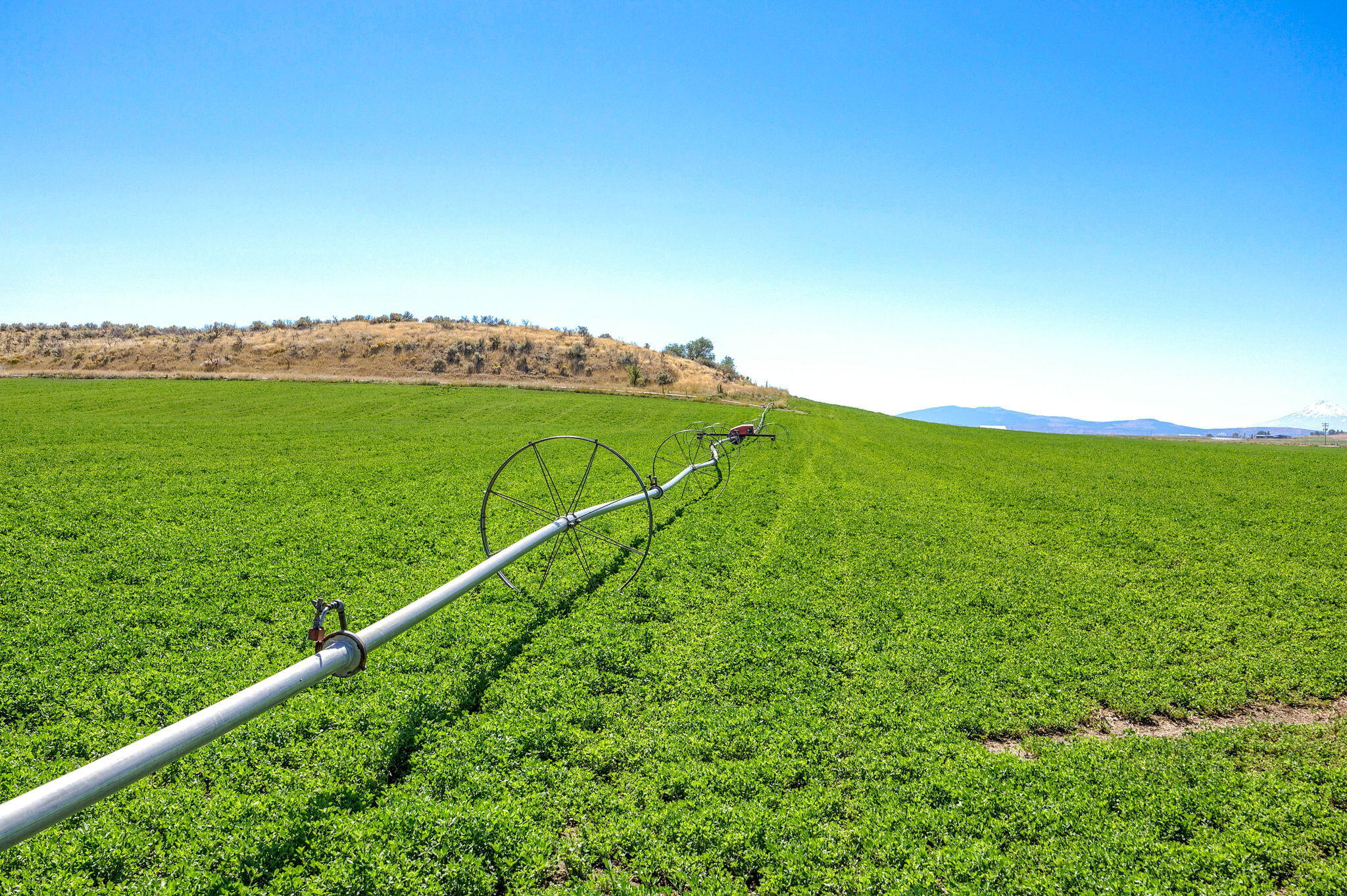 N/A - Farm