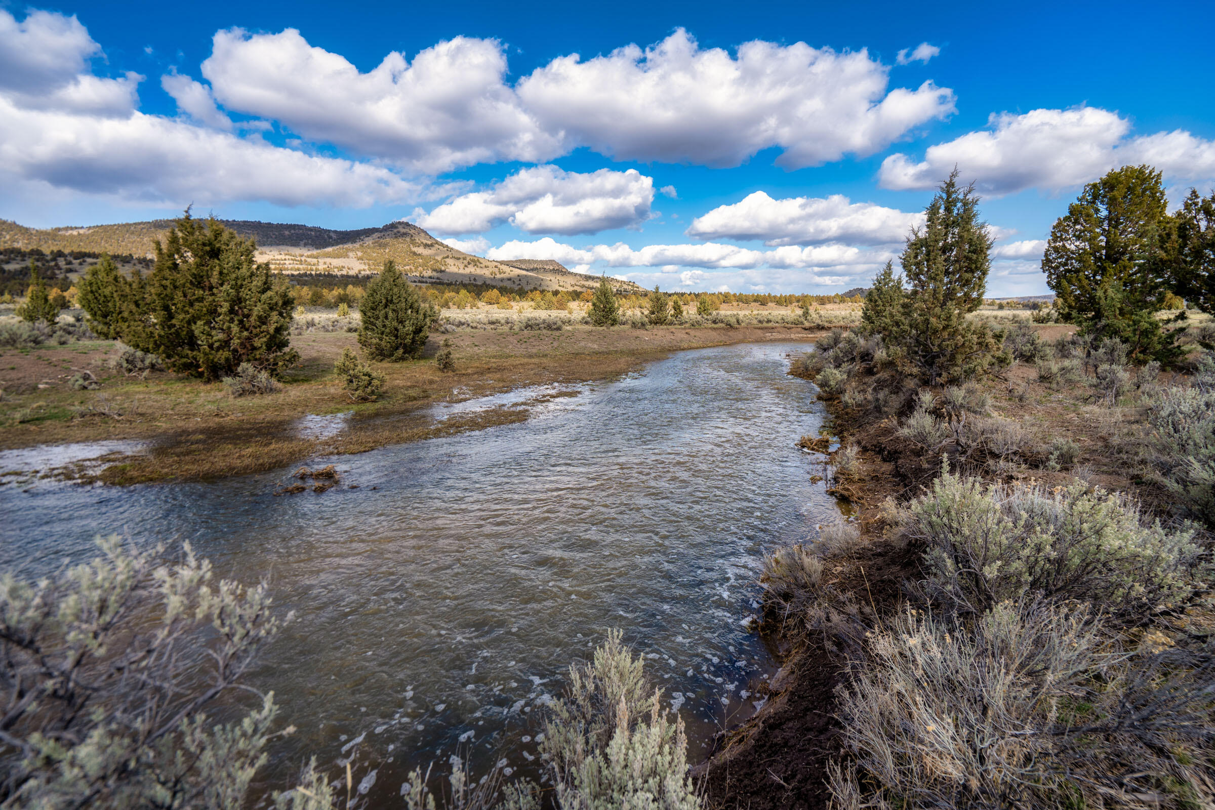 Affordable high desert escape on 160 acres in Oregon's Maury GMU. Solitude and adventure await you in your own beautiful and peaceful haven.  Miles of ATV and hiking trails, rockhounding and shed hunting and dark sky viewing are at your fingertips. Property borders BLM on two sides with direct access to 13,000+ acres of public lands. Fishing, hiking, hunting and winter sports opportunities in the Ochoco National Forest and Maury Mountain Range are only minutes away and a quick drive to Antelope Flat Reservoir for rainbow trout fishing.  Property is eligible for 2 LOP tags for deer and elk. Enjoy spectacular panoramic vistas, year round West Fork Camp Creek running through the property and county road accessibility. Property has an undeveloped spring, clusters of trees and spacious open meadow. Buyer to do their own due diligence with Crook County for possible farm dwelling, improvements and/or other intended uses.
