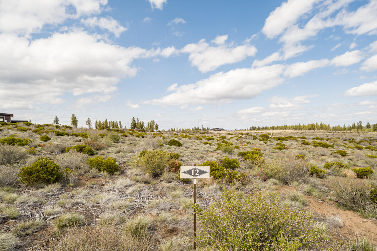 Tree Farm - Land