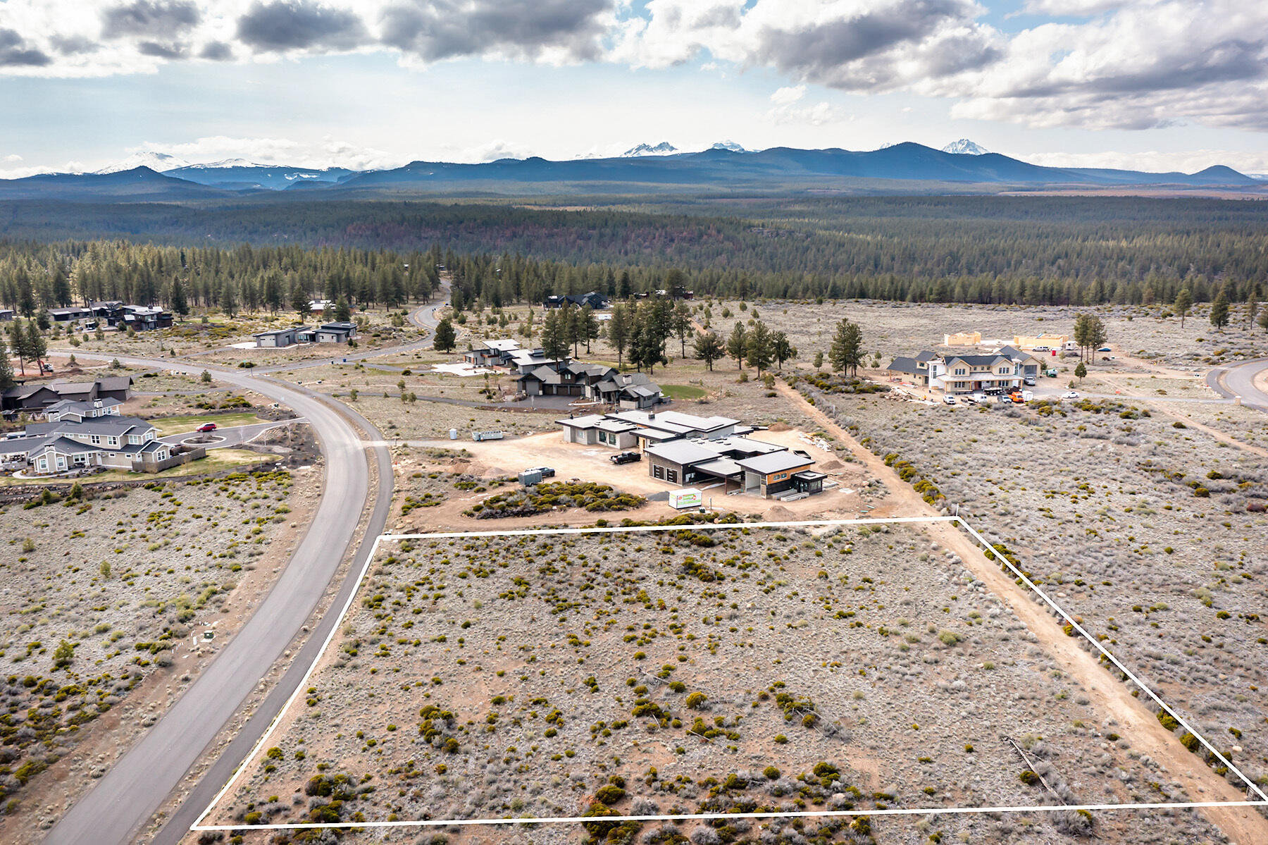 Tree Farm - Land