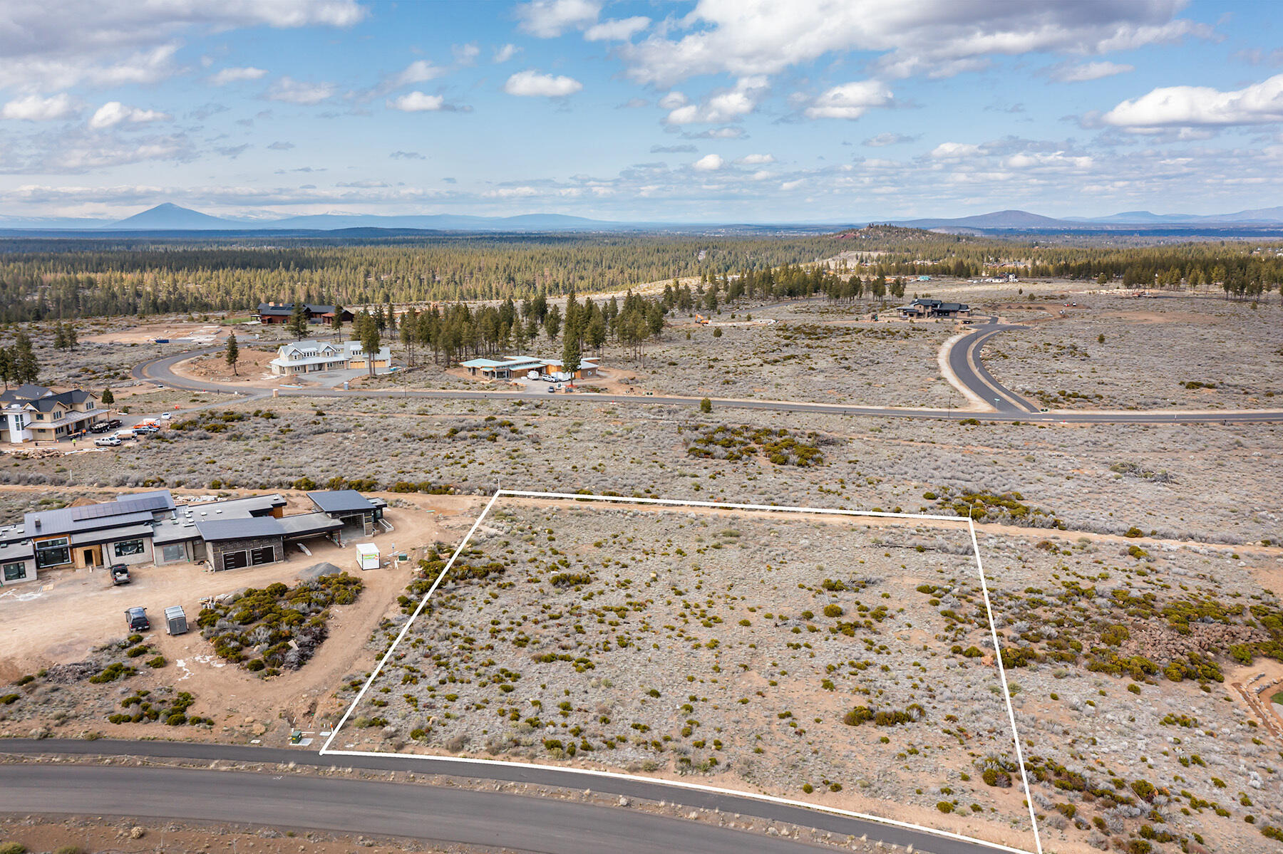 Tree Farm - Land