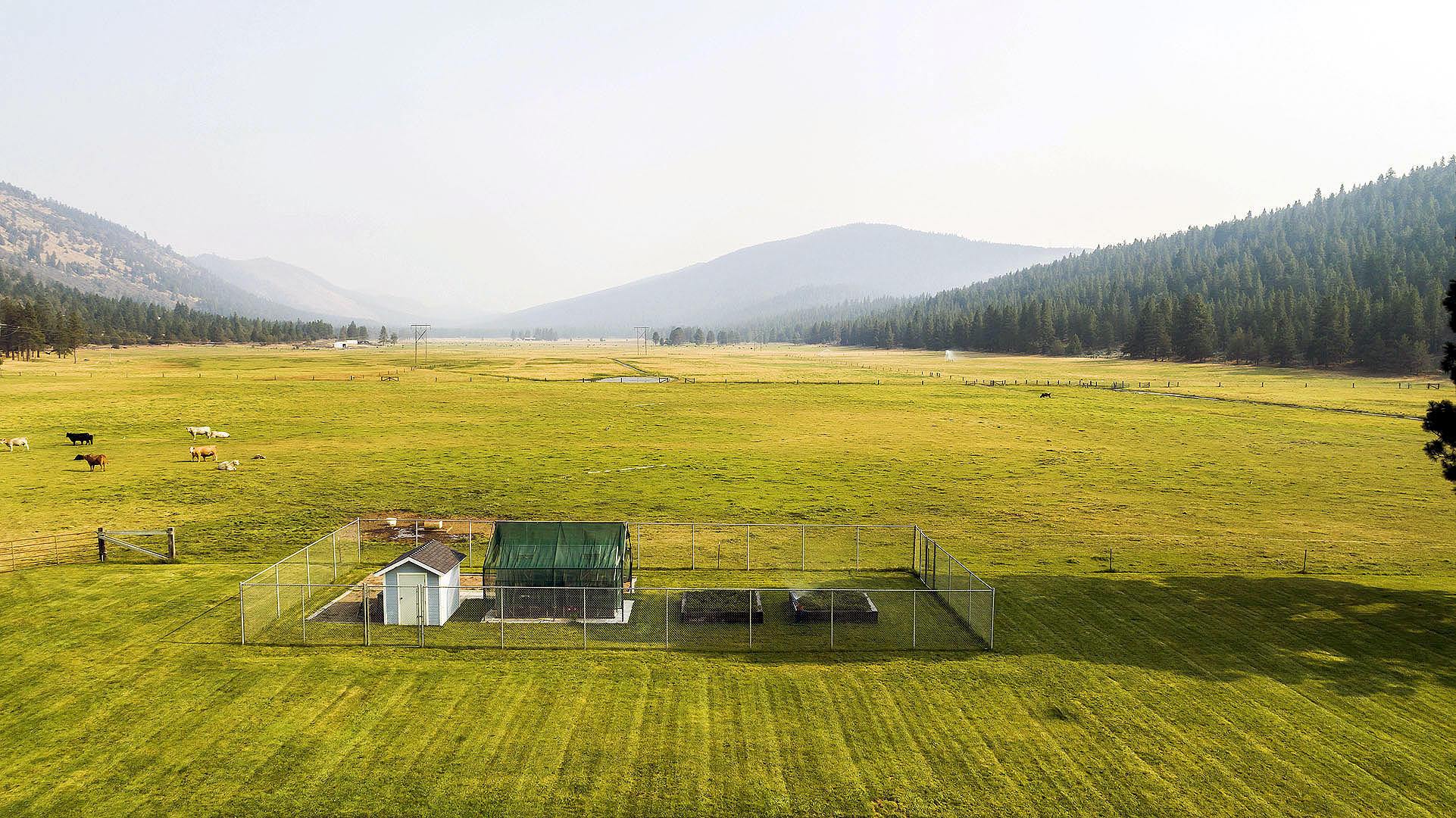 N/A - Farm