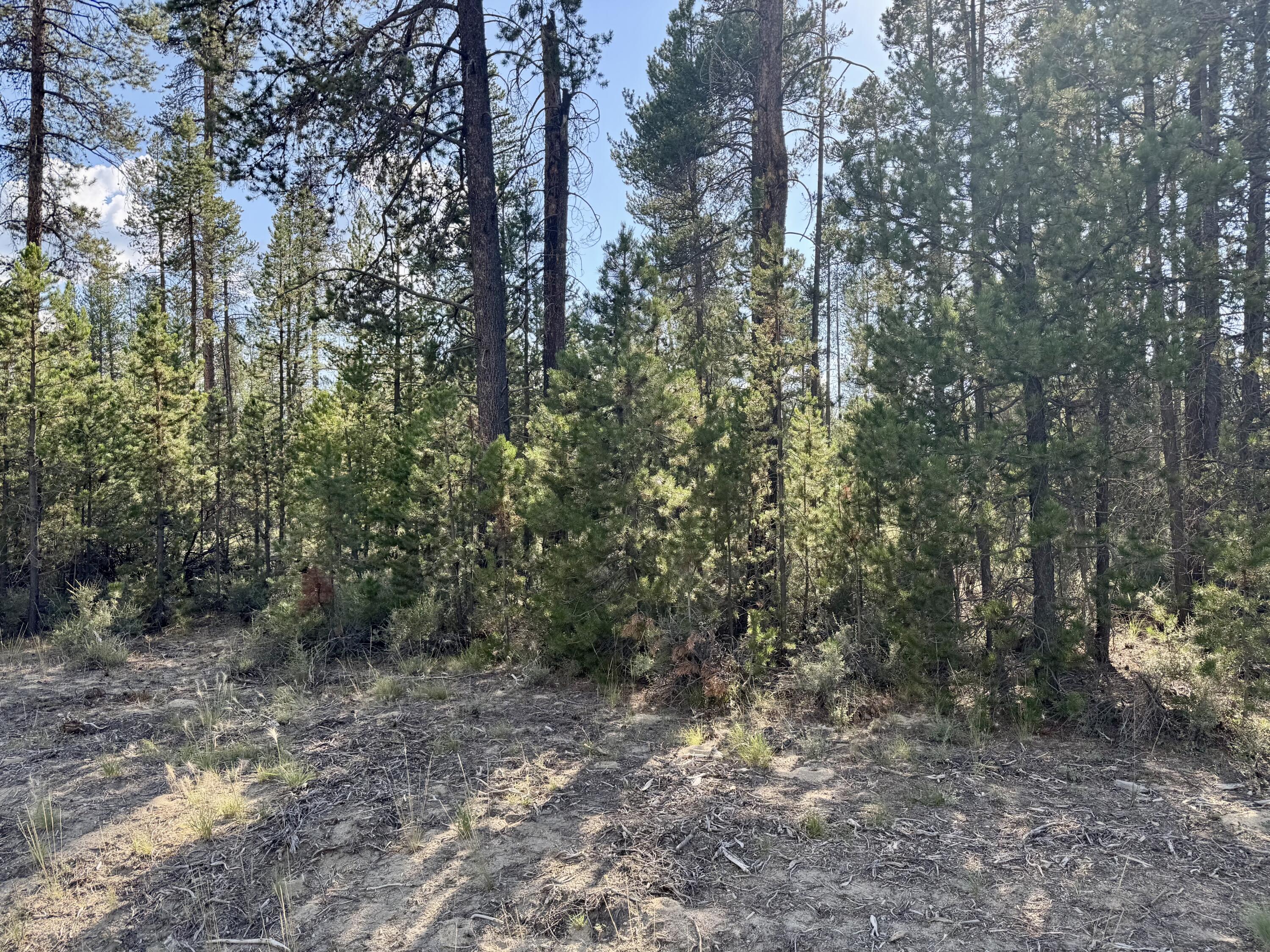 Check out this awesome 1.04-acre lot in Antelope Meadows! It's nice and level, surrounded by trees, making it the perfect spot for your future home. Get those plans ready and make it yours! Lot 8 and 10 are also available.