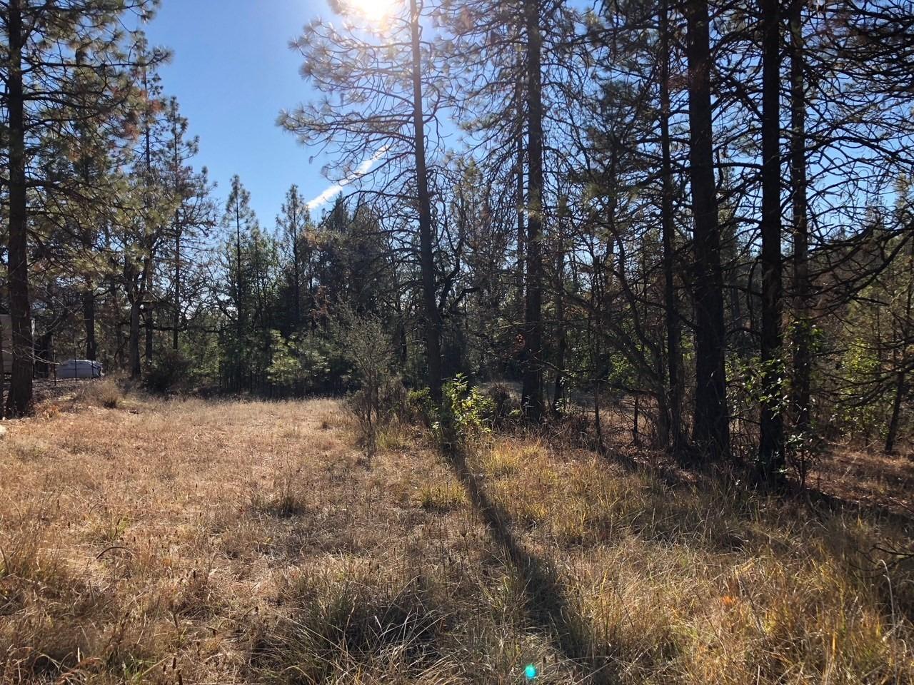 Spacious 1/2 acre lot with privacy, beautiful pine trees, views, and located just minutes from the Rogue River. The lot offers a nice mix of trees and usable space making the perfect place to build your next home, or install a manufactured home. Hiland Water and public sewer are stubbed at the street allowing for low cost, reliable utilities. The access road is currently roughed in and will be completed with base and top rock as weather allows. With a full price accepted offer, the seller will cut a manufactured home pad and construct a driveway to the site, plus trench for the power installation (subject to power availability and power company approval). An adjacent .52 acre lot is also for sale if you'd like to own a whole acre or perhaps build next to family or friends. It doesn't get much easier than this so don't wait to get your next home started! Build packages may also be available.