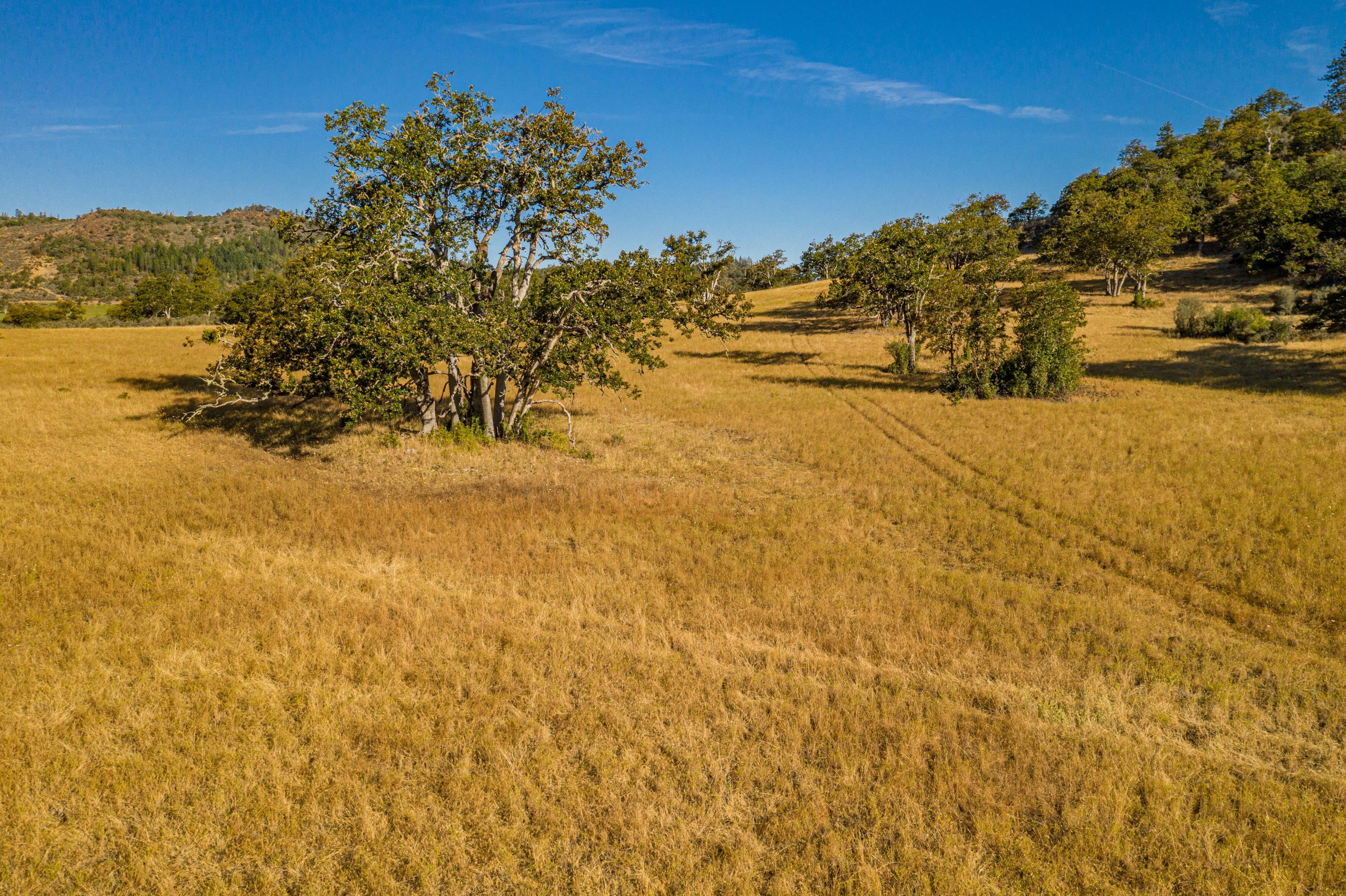 N/A - Farm