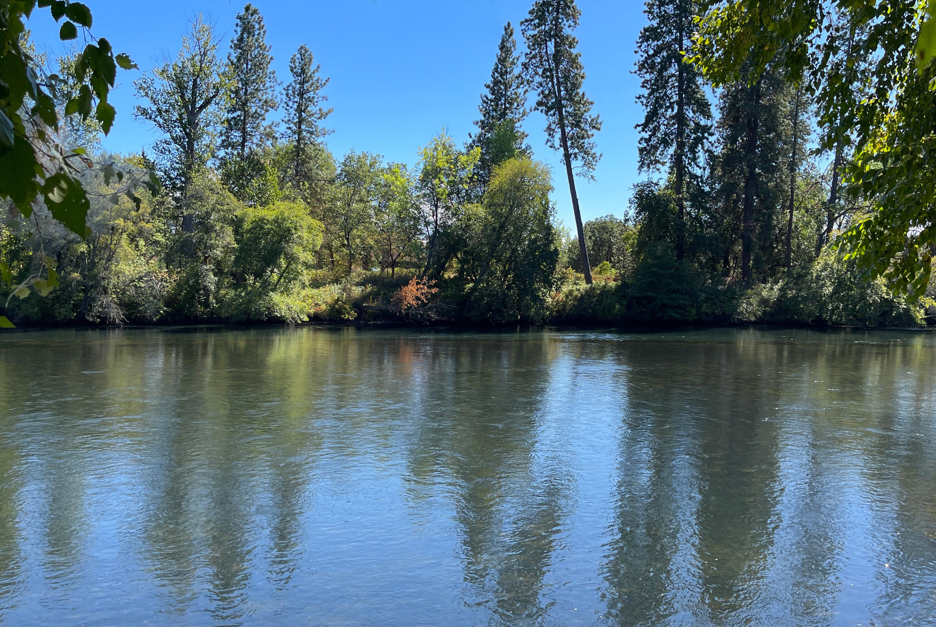 Roguewoods Estates Subdivision - Residential