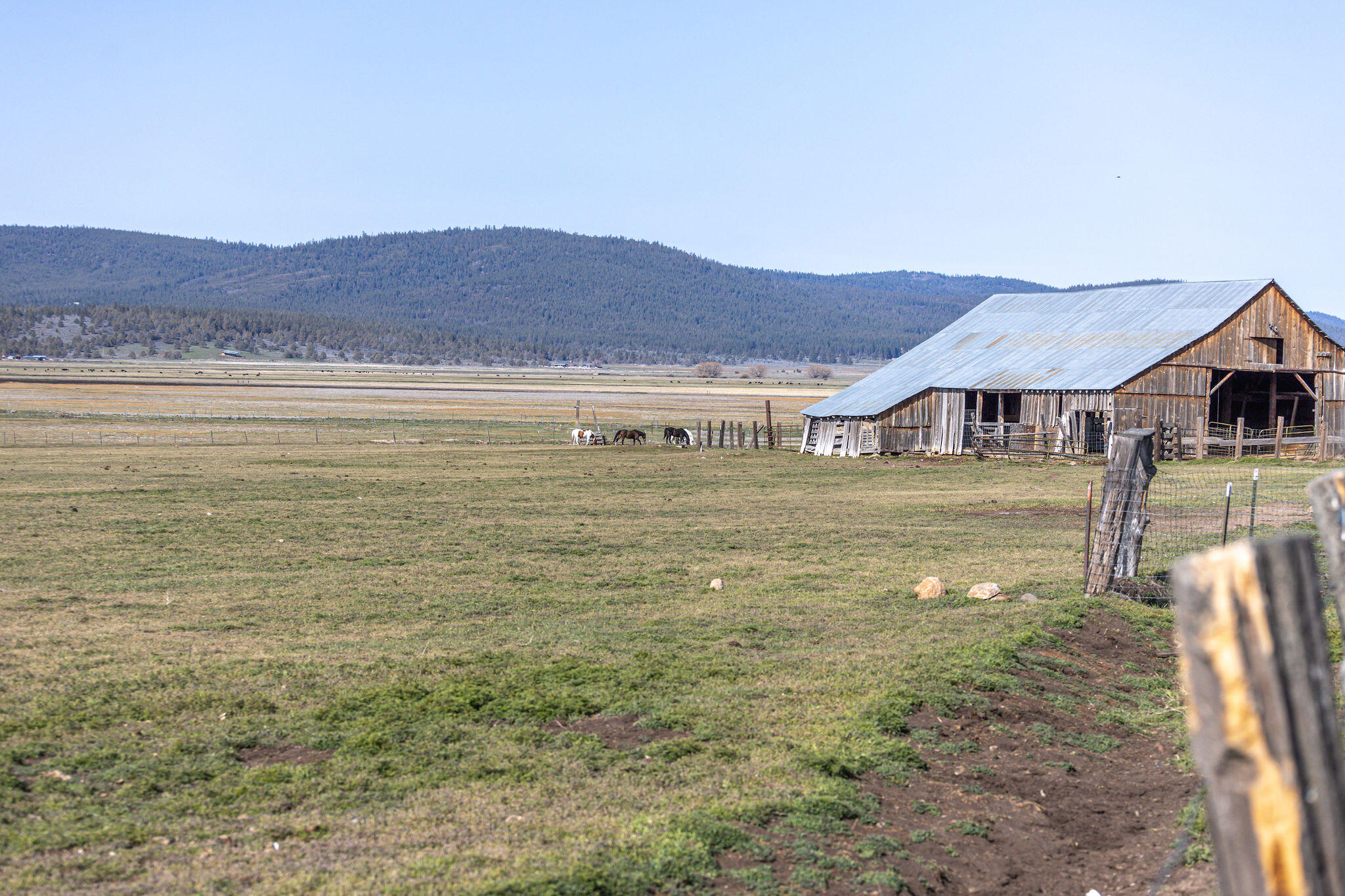 N/A - Farm