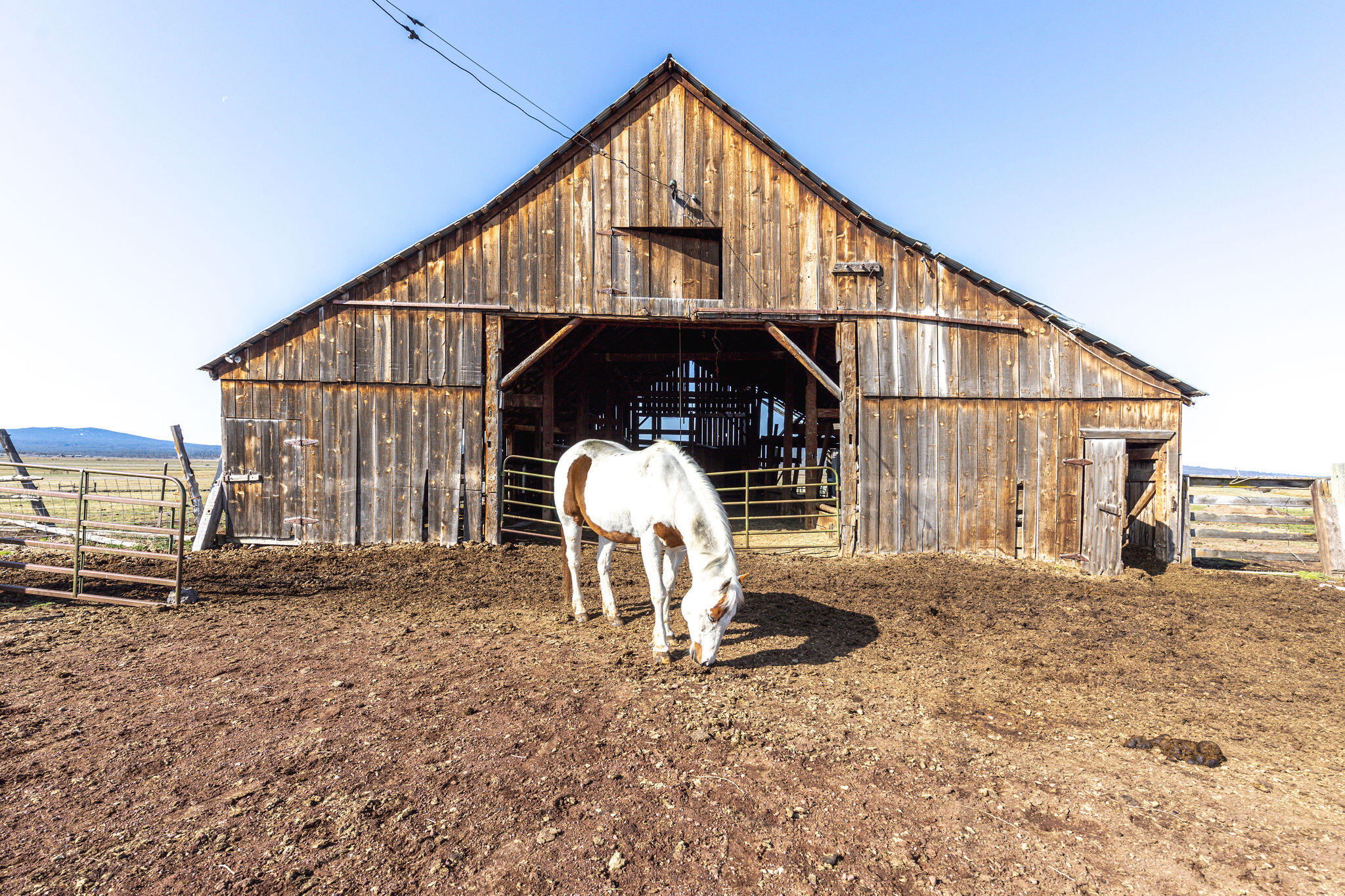 N/A - Farm