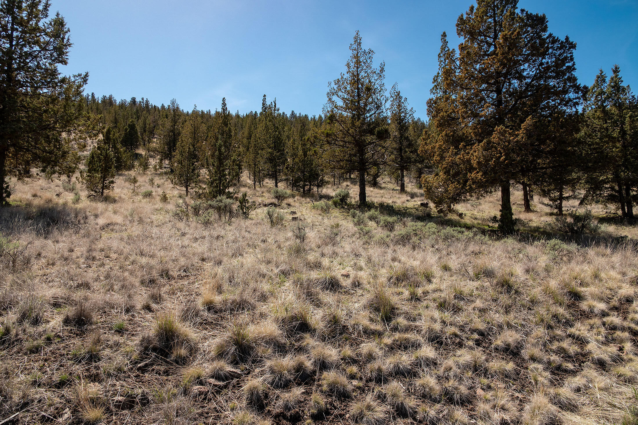 Crescent Rim Estates - Land