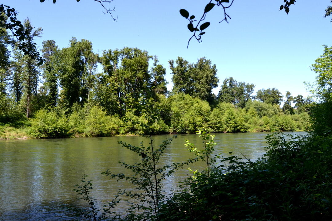 Riverwalk - Land