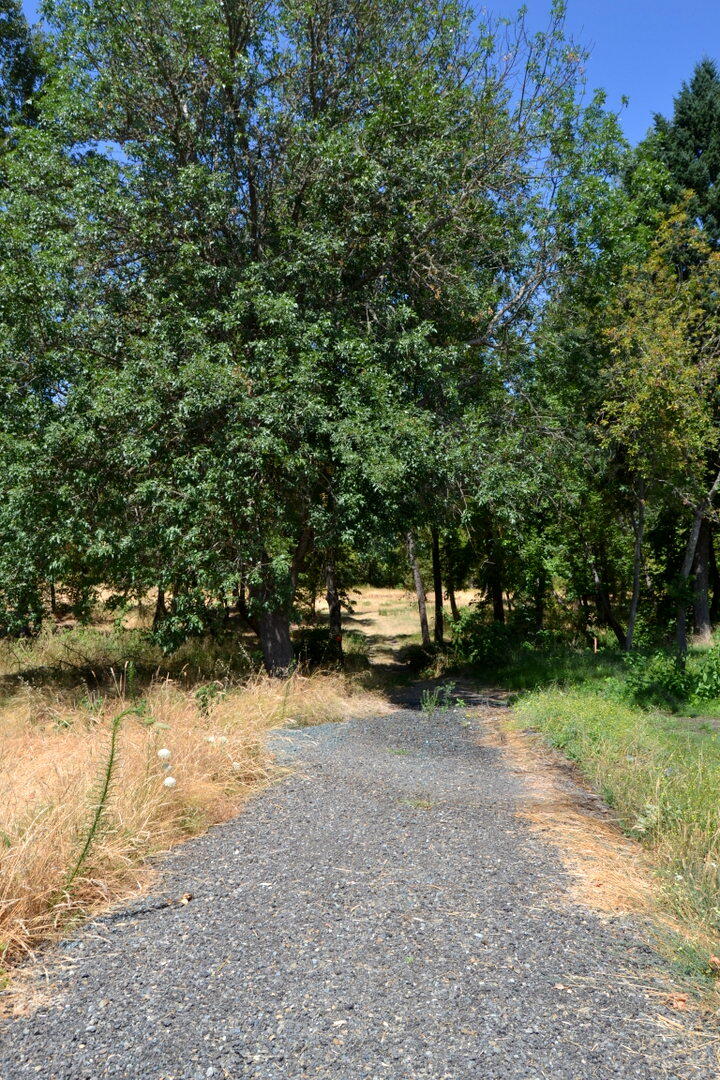 Riverwalk - Land