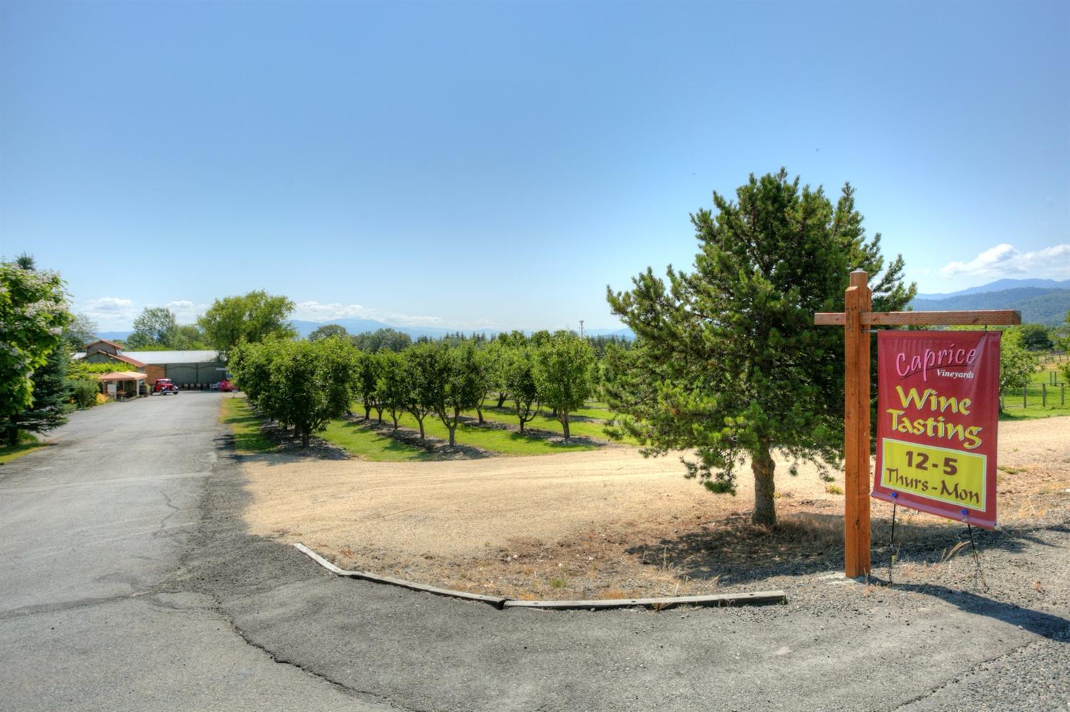Beautiful vineyard and winery outside of Jacksonville. Current owners also raise Alpaca which can be purchased separately. The Boutique winery and farm location is perfect for someone that wants a rural property that has quick access to all of the local towns in the Rogue Valley. The current business has a wonderful retail and wine tasting area, new greenhouse/event room, wine storage area, animal pens and shelters, very large shop with cement floor w/drains that would be perfect for a crushing area as well as wine and barrel storage. The property also has a wonderful small orchard with 75 fruit trees with apples, pears, cherries and Italian plums. The 2800 sq. ft. plus home is on a separate tax lot and has lovely in-ground pool. The 7 acres of 30 year old vines are planted with Cabernet Sauvignon and Chardonnay. The property is on Medford irrigation district with room to expand the vineyard on the property, as well as possible neighboring lands for potential lease. Appointment Only.