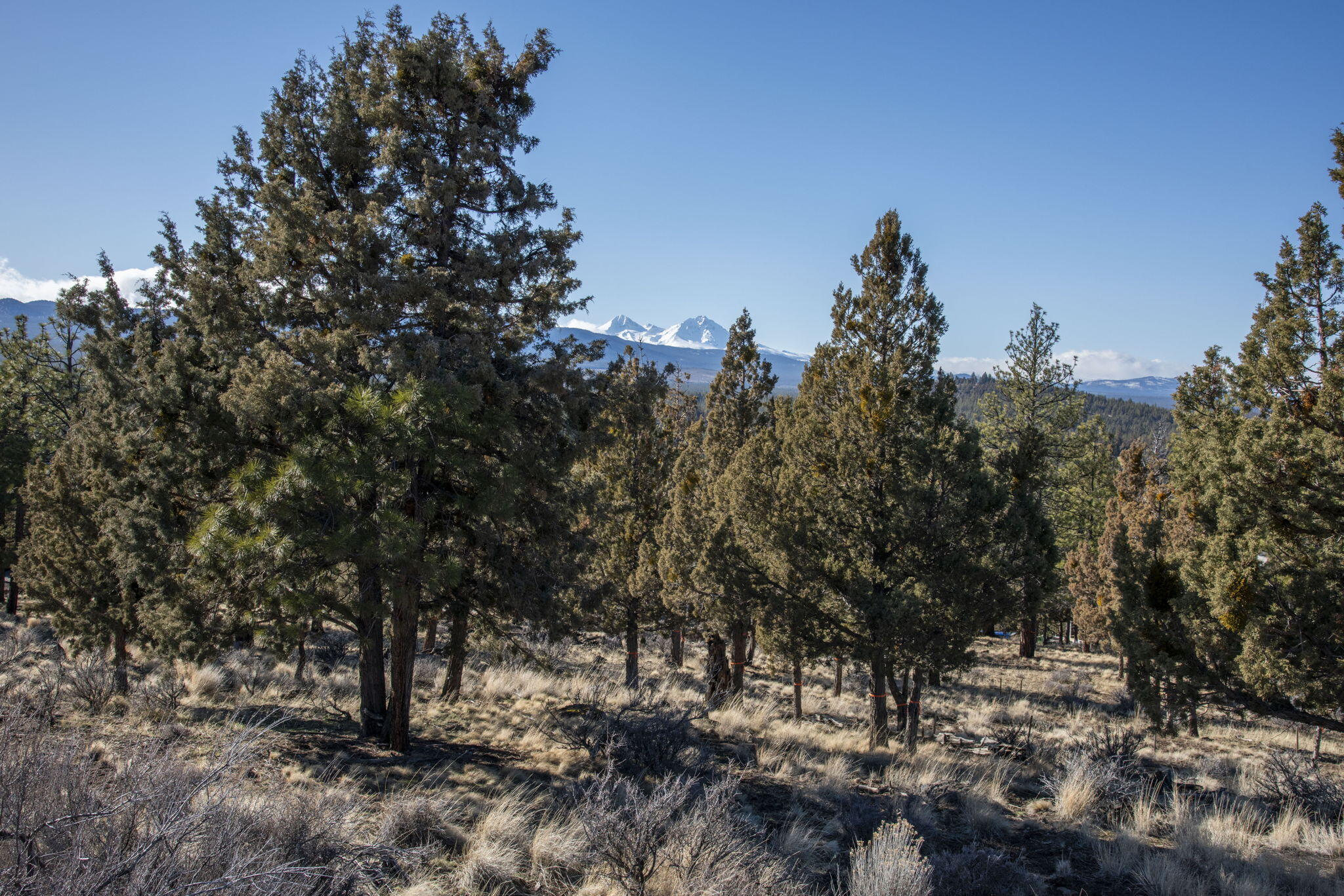 North Rim - Land