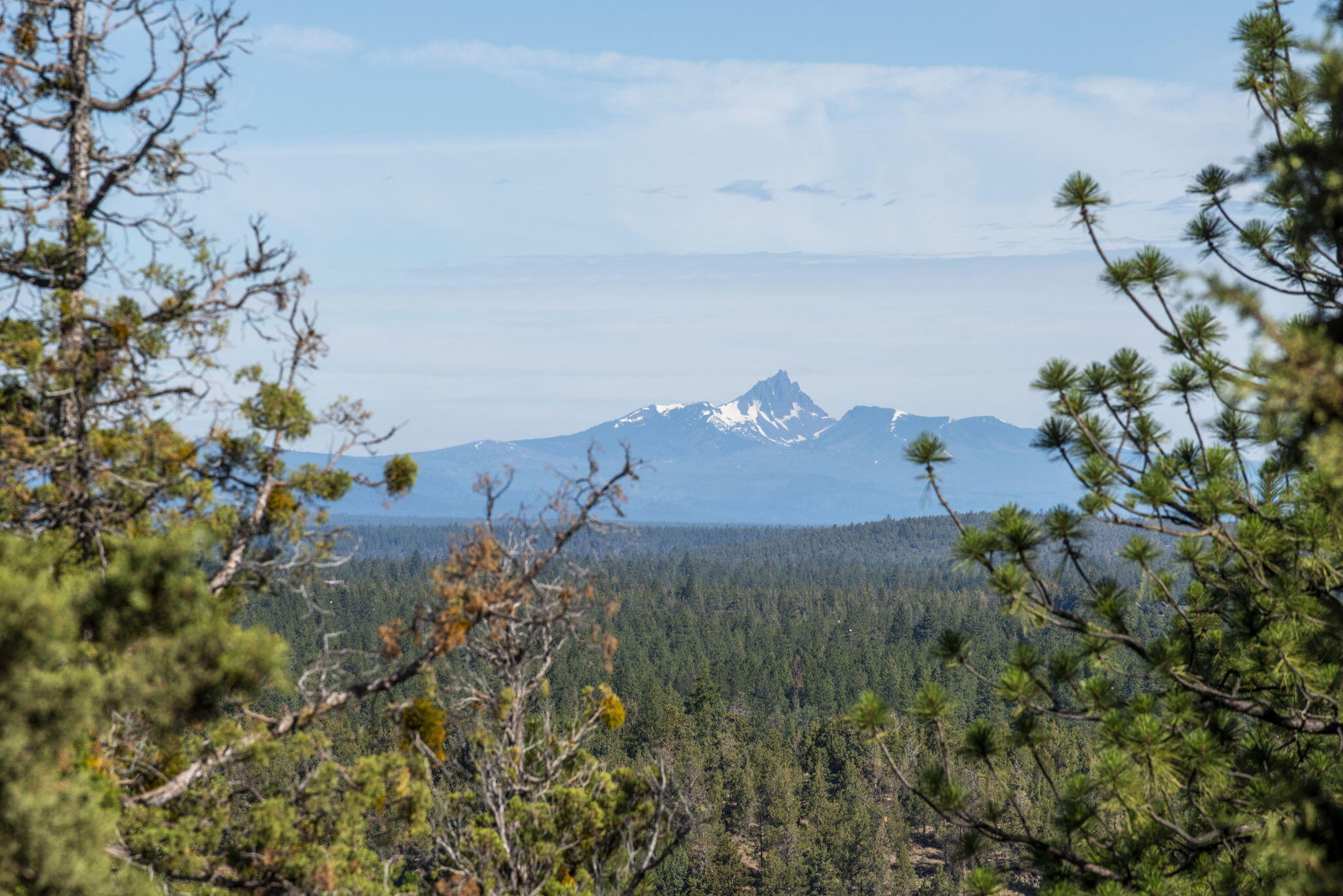 North Rim - Land