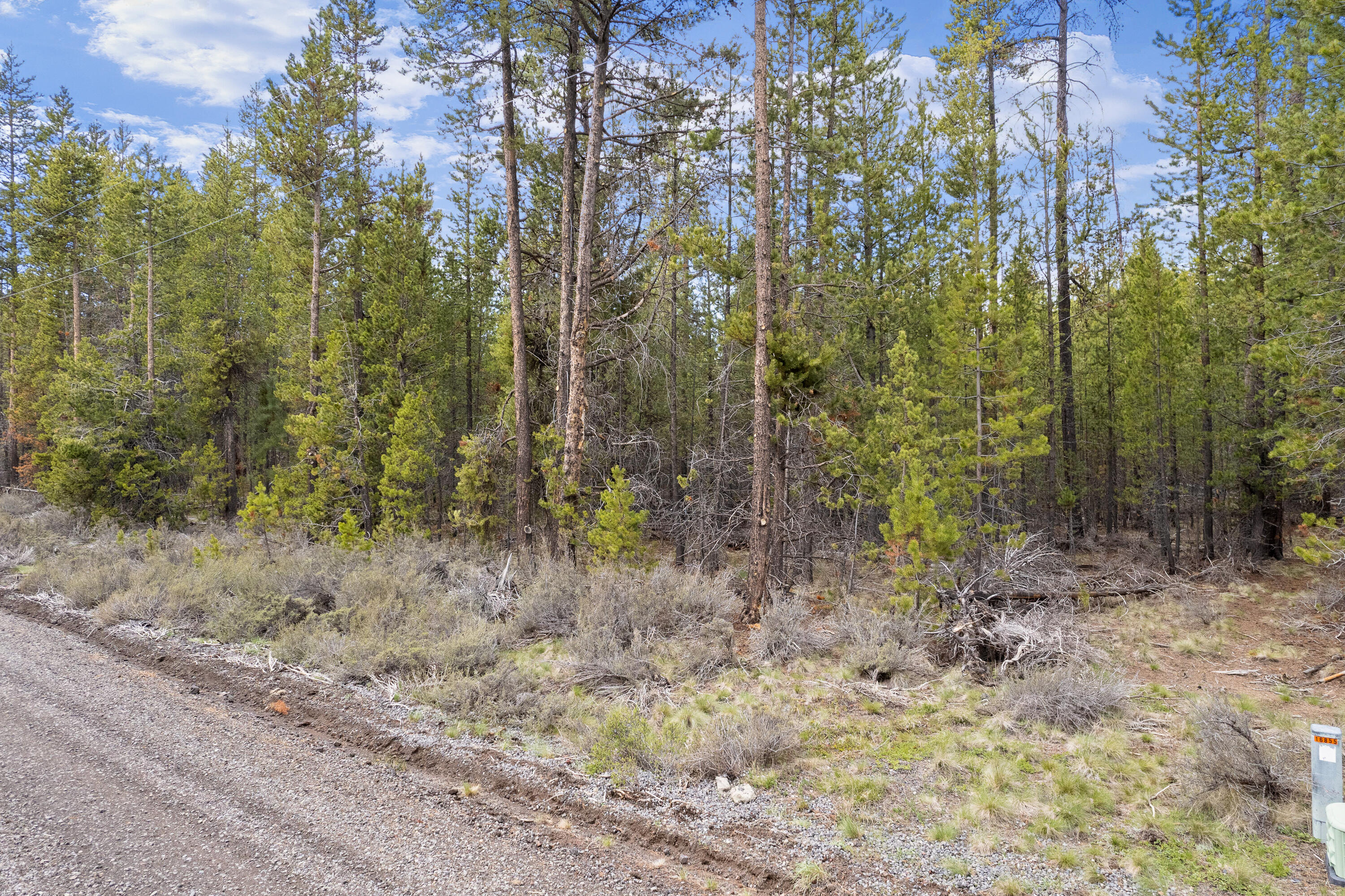 Take a look at this recreational lot with mature ponderosa pine trees on over a half an acre in the desirable Deschutes River Recreation Homesites area. Located in a quiet neighborhood with breathtaking views of wildlife. The Deschutes Forest is steps away to hike and explore. A community boat launch and swimming area for locals only on the Deschutes River. Just three miles outside of Sunriver proper. Just minutes to Fall and Spring River and only a 20 minute drive to Mt. Bachelor and all of the Cascade Lakes. Adjacent property to the East, 16854 Elsinore Rd is also for sale.