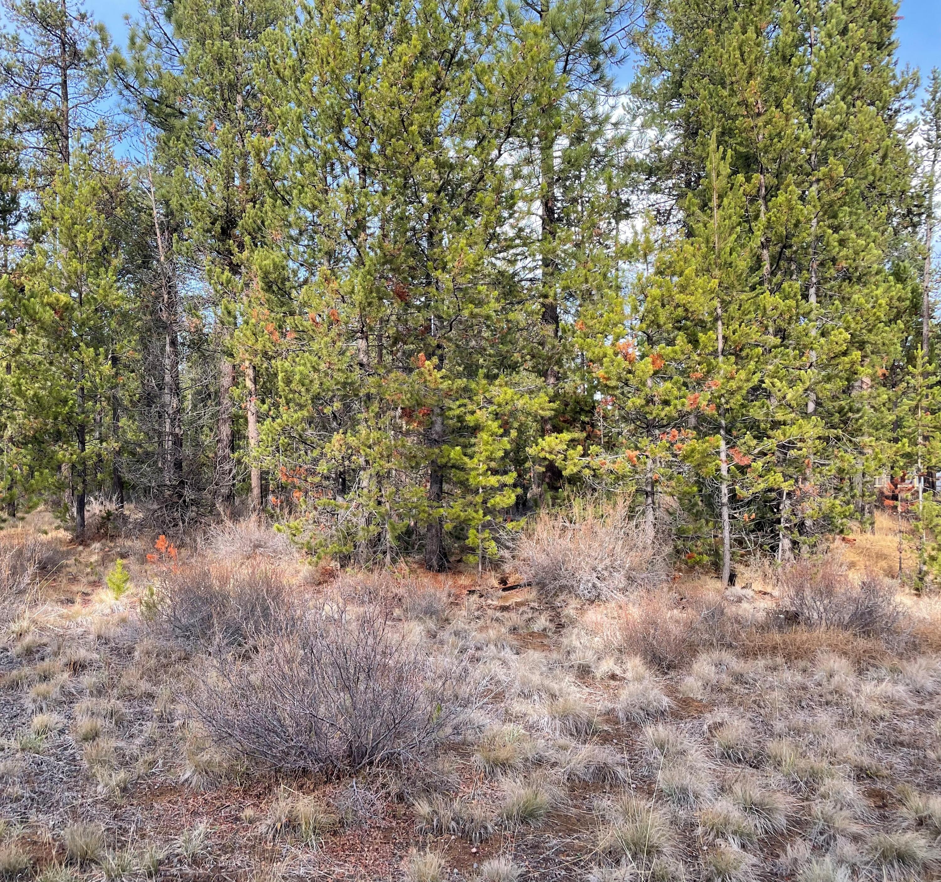 Buildable lot.  Close to all Sunriver amenities, High Lakes, Deschutes River, Mt Bachelor.