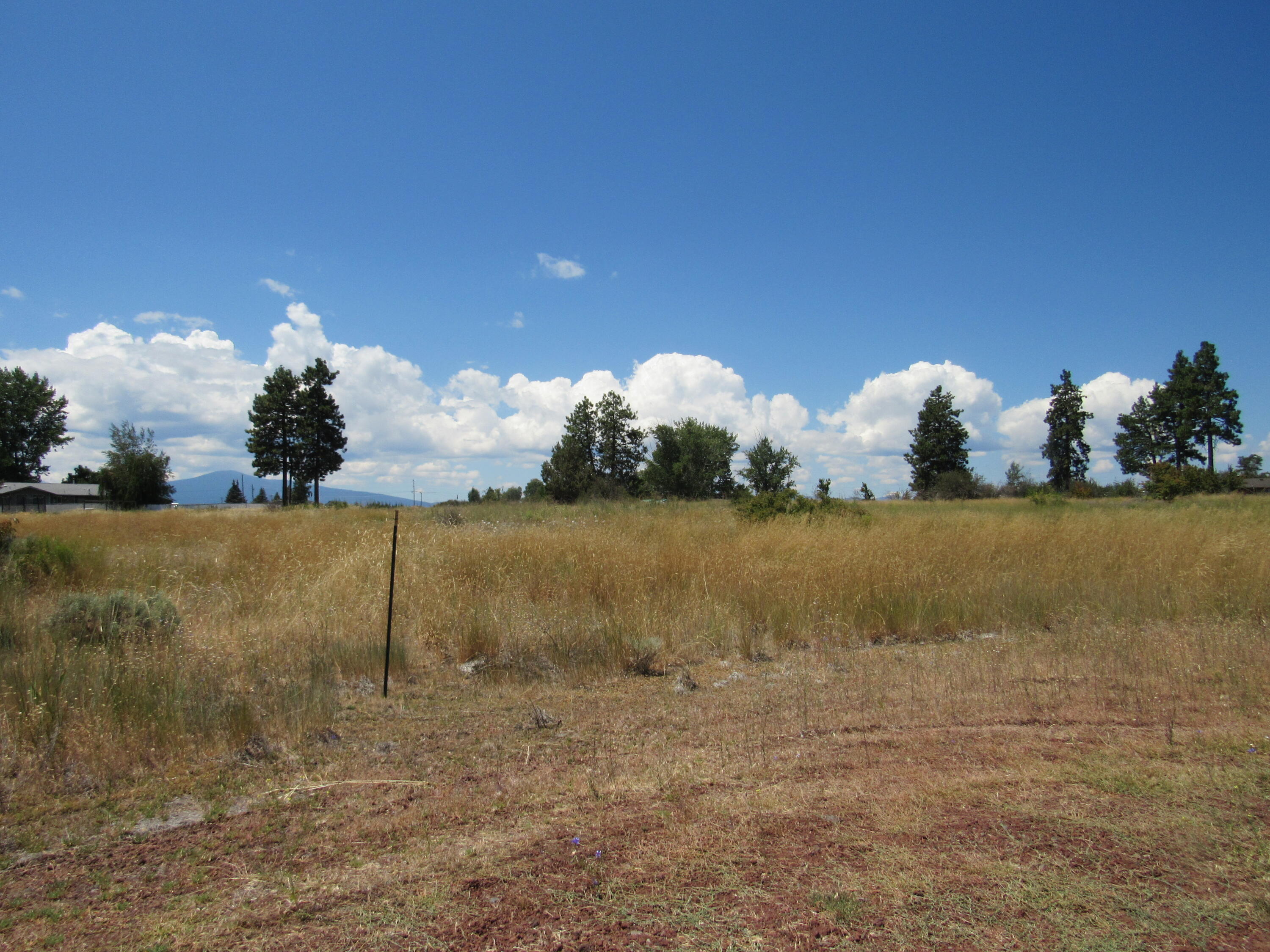 Oregon Shores -Unit 2 - Land