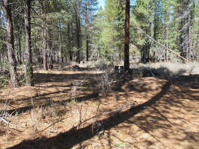Sprague RIver Pines lots2 together makes just under 2 acres lots of trees ,access to the Sprague River