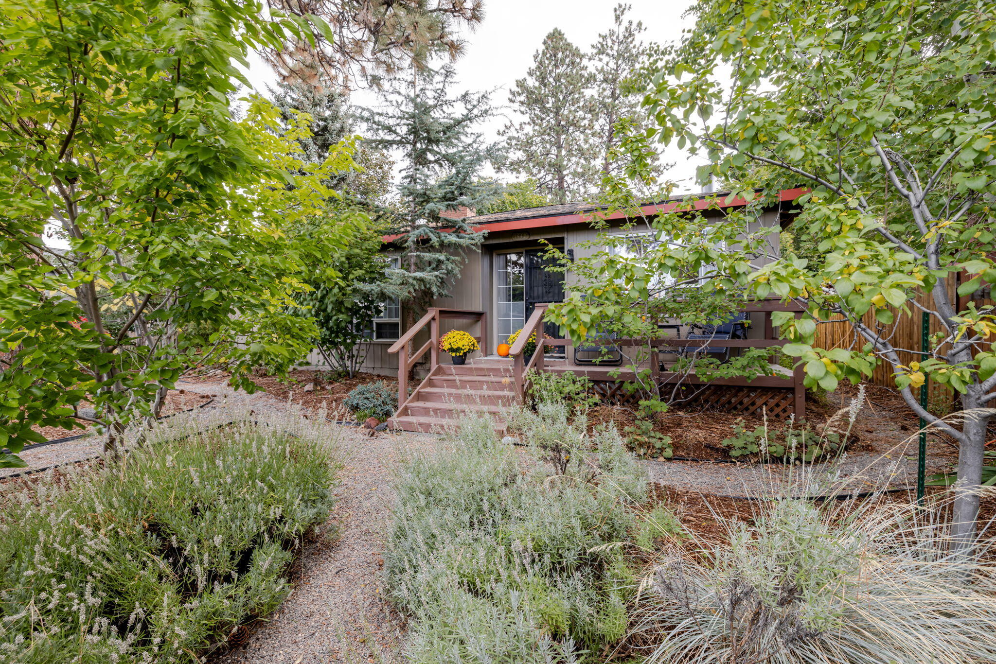 Neal - Residential