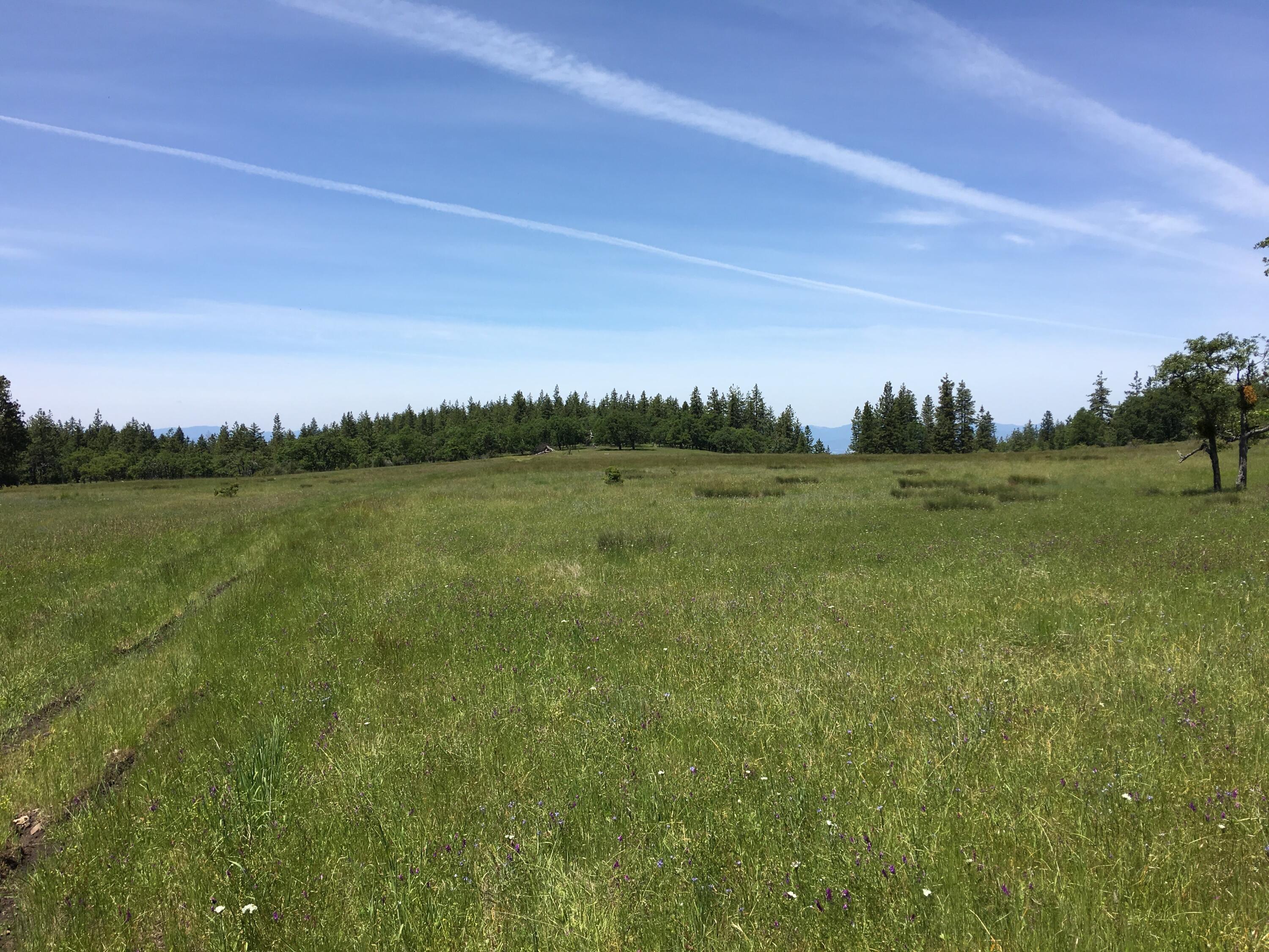 Large acreage holding of undeveloped land in the east hills of Medford, Oregon. With a potential of multiple home sites this offering is ideal for development, a multi-family estate, ranching, investment or a long term hold. The property is made up of 19 contiguous parcels and spans approximately 1340 acres. The topography varies from level to moderately sloped and multiple viewpoints can be found throughout the property. The primary vegetation includes conifer and hardwood trees along with open meadows of grass. There are several locations of rock sources on the property for the development of interior roads.
The Rogue Valley is the regional hub for medical, commerce, the arts and offers year-round outdoor recreational opportunities.
Elk, Deer, Bear and other wildlife often frequent the area. The property is within the Rogue Hunting Unit which currently allows for over-the-counter tags for many species along with some land owner tag options.