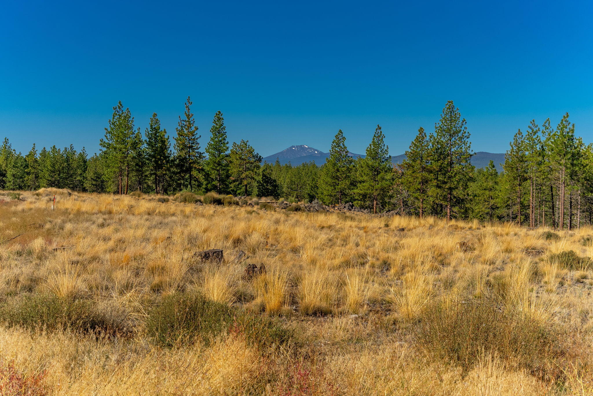Skyline Ranch - Land