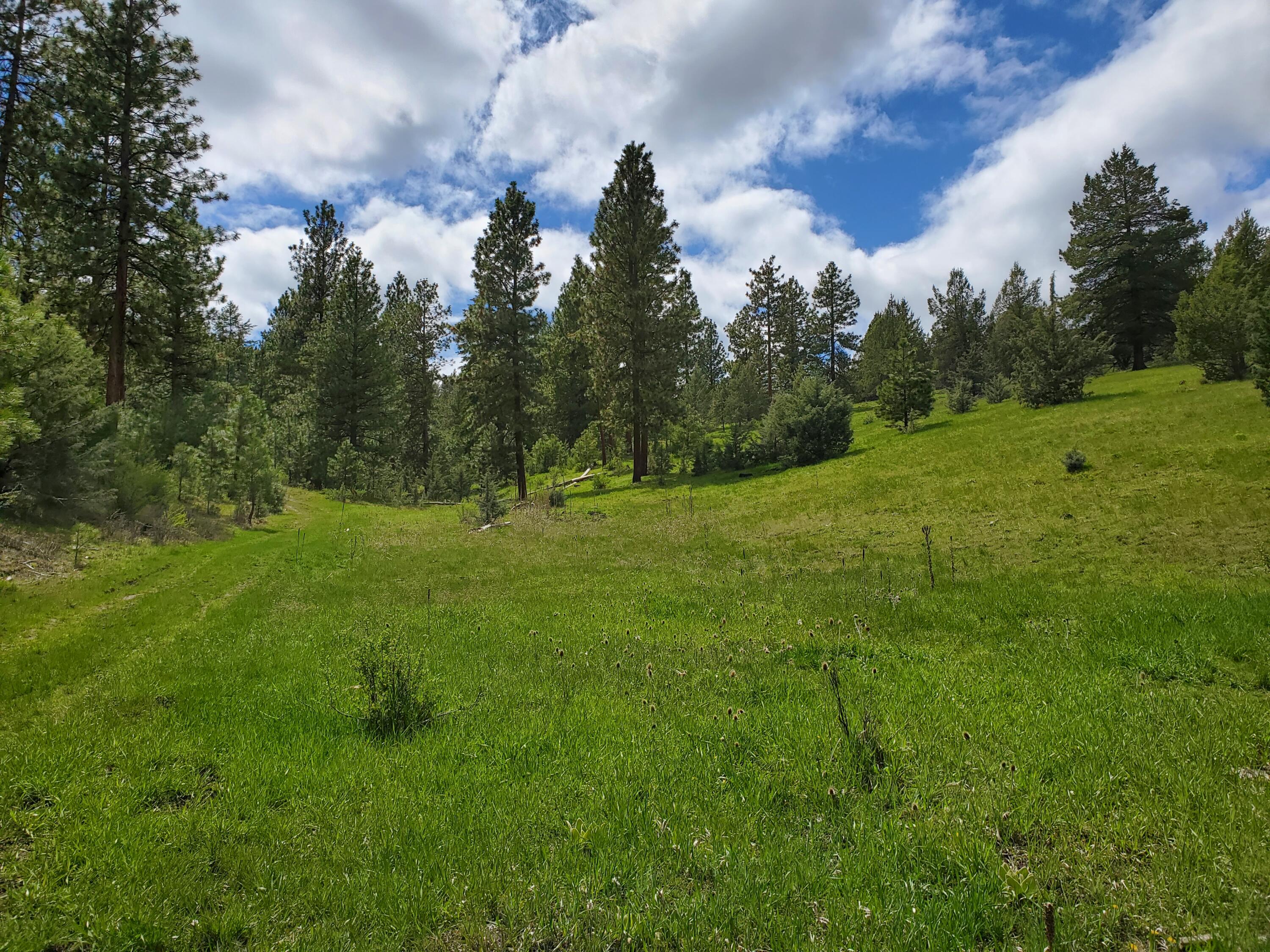 Mountain View Subdivision - Farm