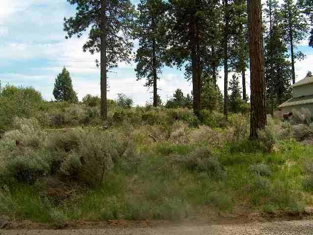 Beautiful Parcel In Unit 2 Of Oregon Shores. Nice Pine Tree And Partial View Of Agency Lake. Community Water And Road Maintenance. Owners Have Access To Lake. Priced Right.