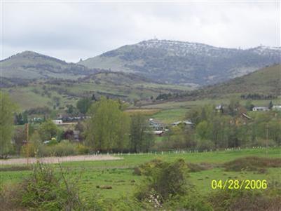 Homesite approved!!! This property is beautiful with rolling hills and a possible knoll top homesite location with fantastic views of the valley. There are not many sites that will beat this one. Access from Valley View or Butler Lane. Perfect for a Gentleman's Ranch or Farm; Irrigation Rights; Close to town and noe freeway noise!