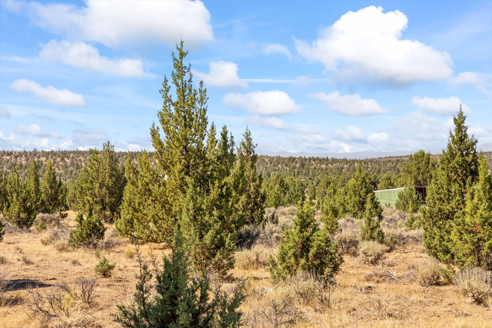 Prineville Lake Acres 2 - Land