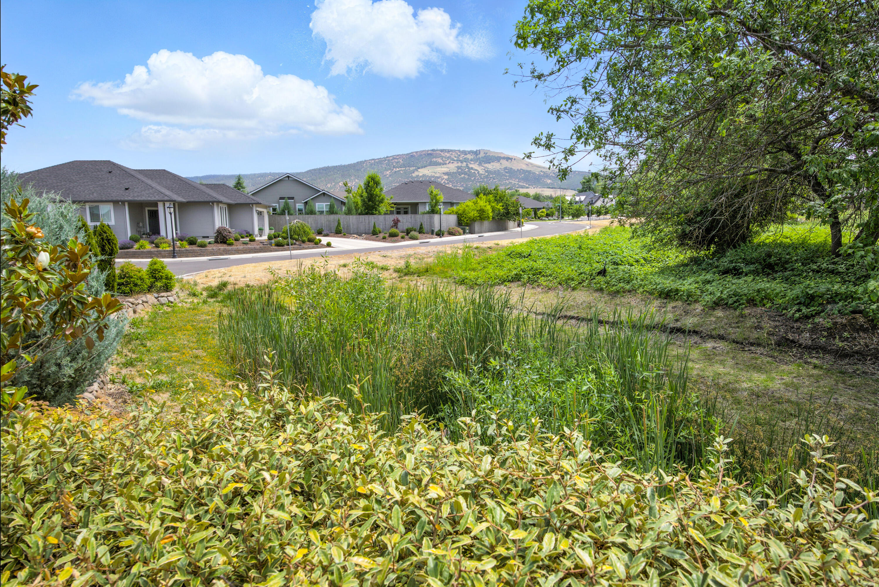 Horse Arena Subdivision, Phase 1 - Residential