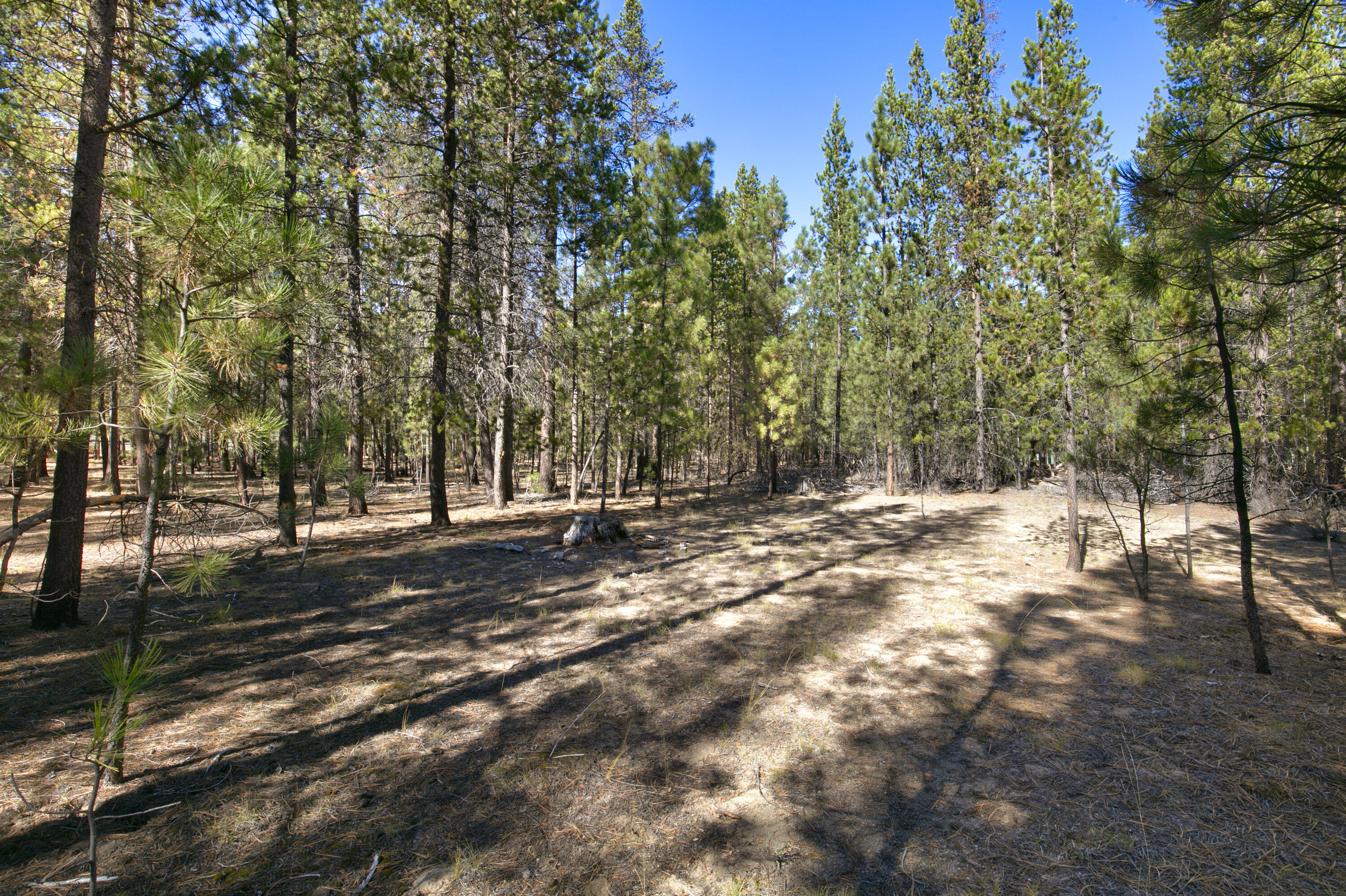 Build your dream home in La Pine's Ponderosa Pines! This beautiful level 1.2-acre lot offers a peaceful retreat among the pines. Enjoy the convenience of community water and Mid State electricity at the street, roads are gravel. This acreage is in its natural state so you can clear it to meet your needs. Central Oregon has so much to offer for recreational activities, just minutes to La Pine, and a short distance to Bend!