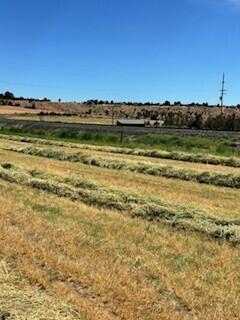 Madras - Farm