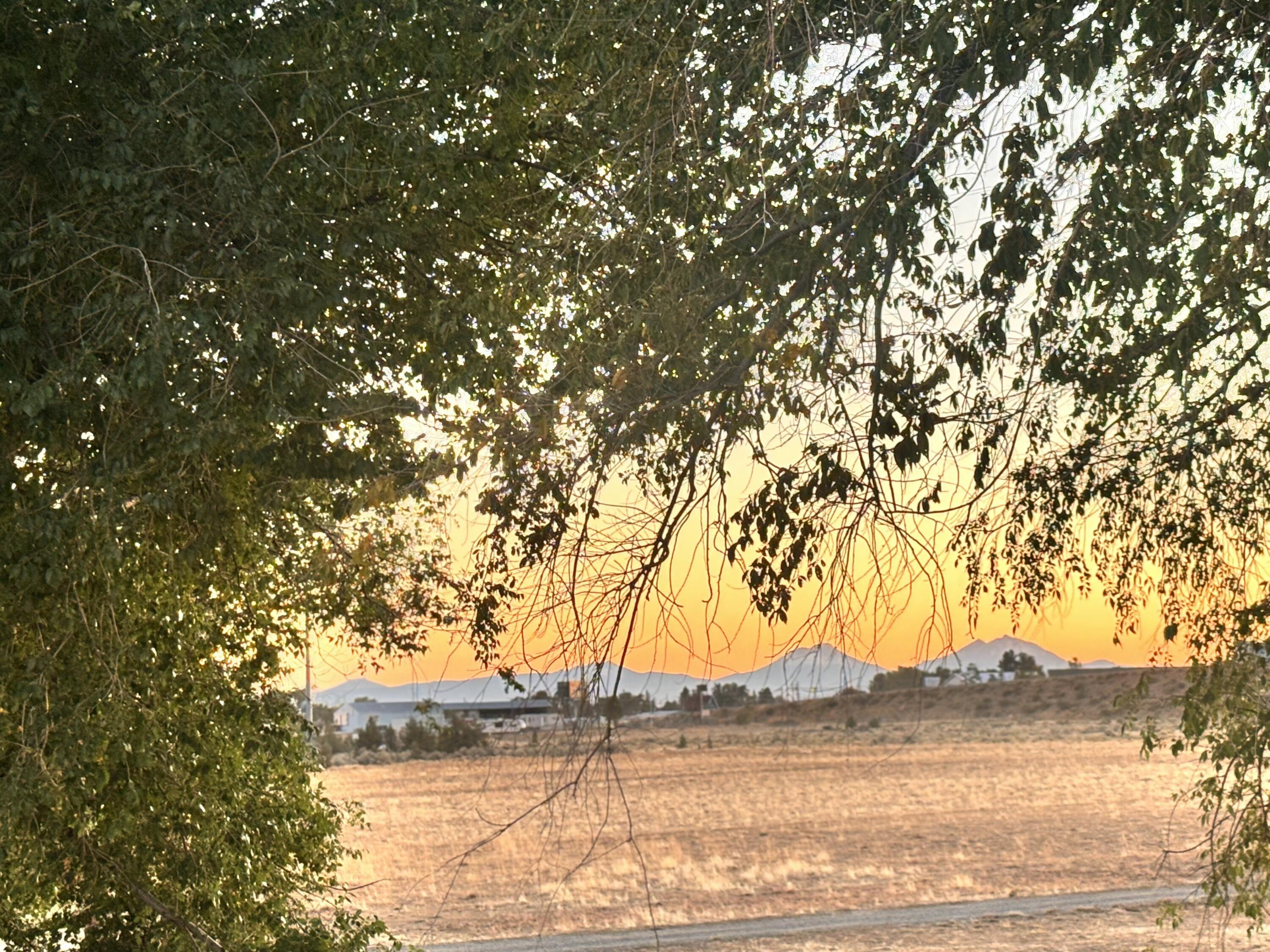 Madras - Farm