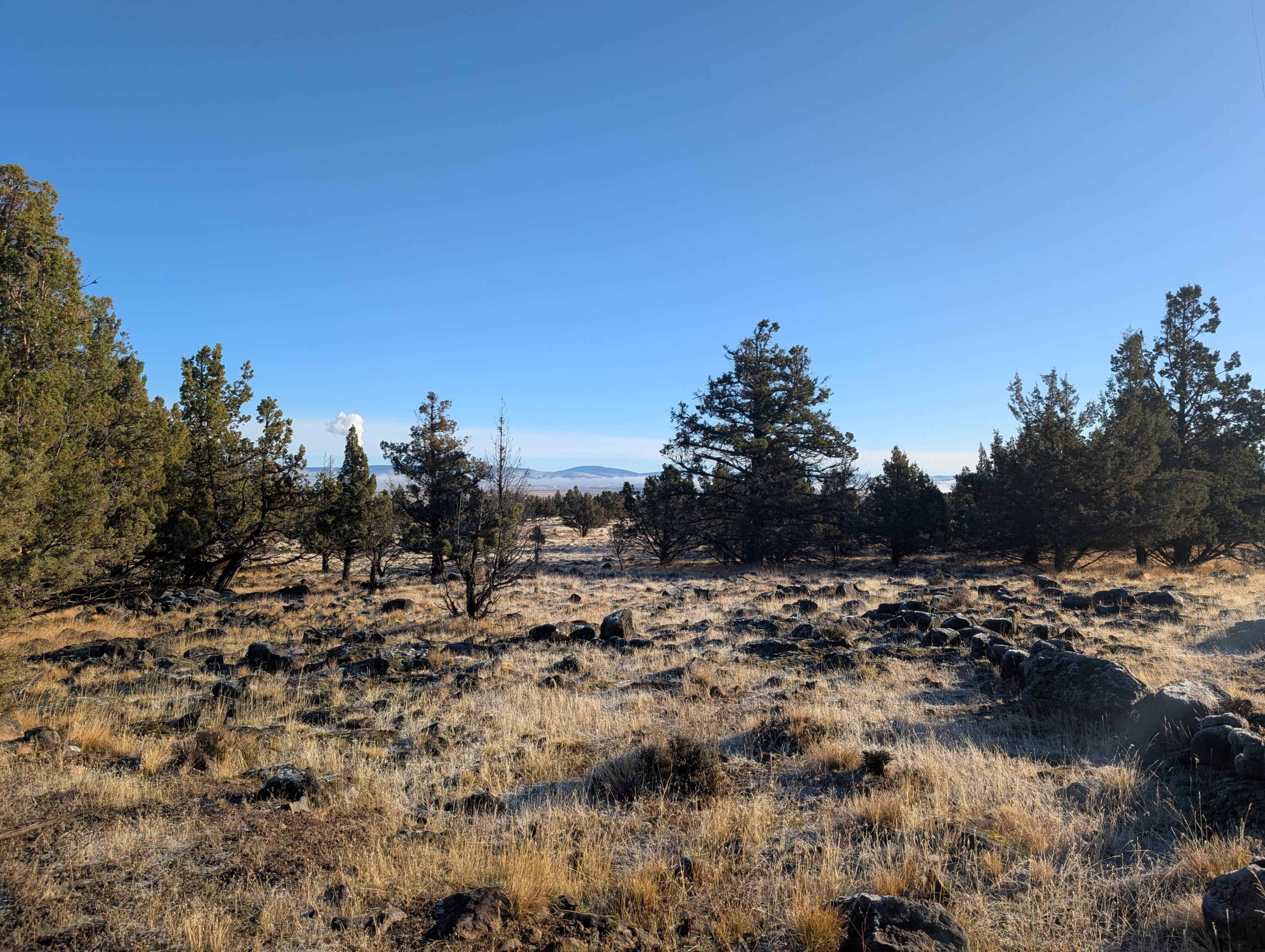 Cedar Trails - Land