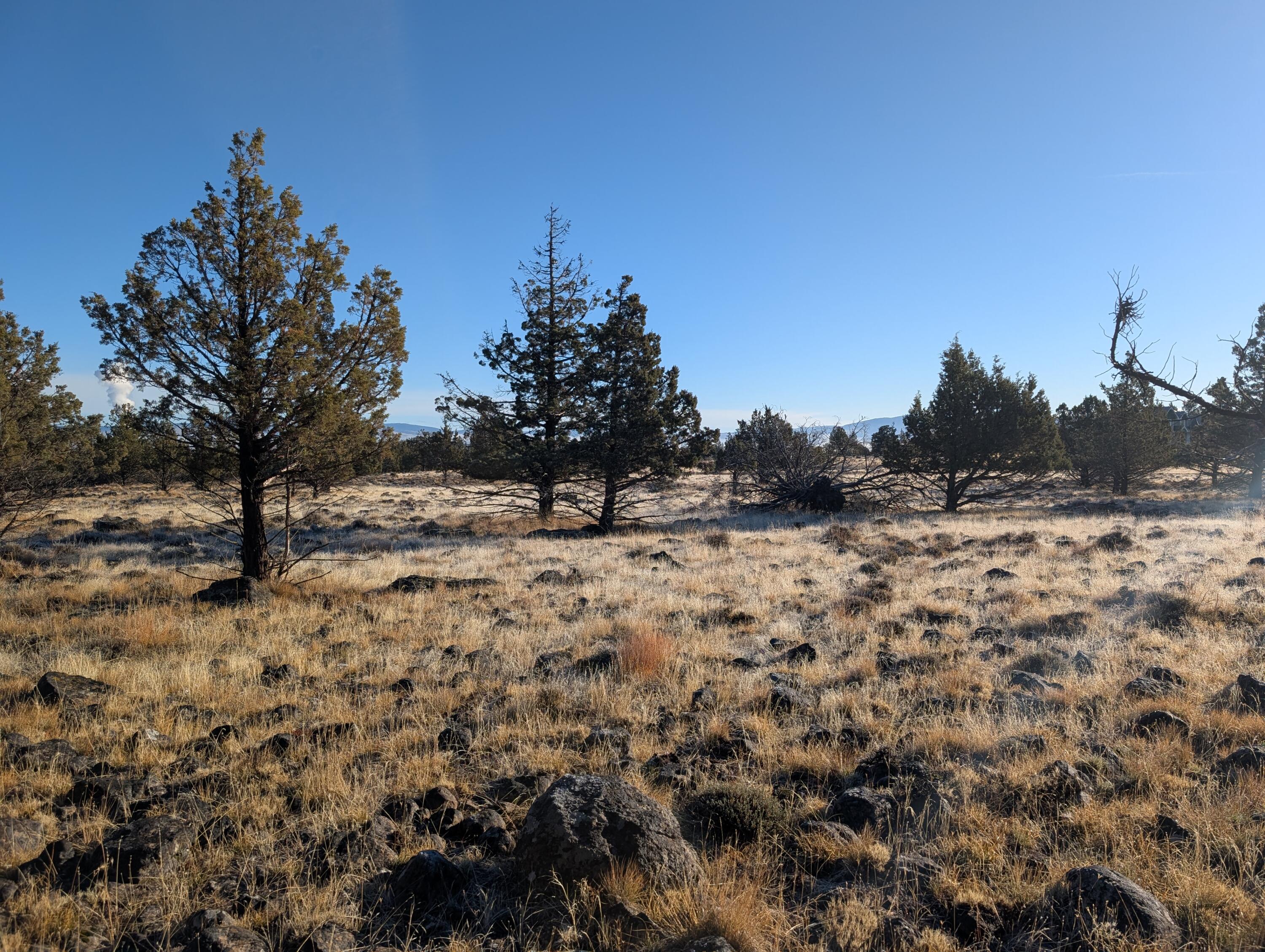 Cedar Trails - Land