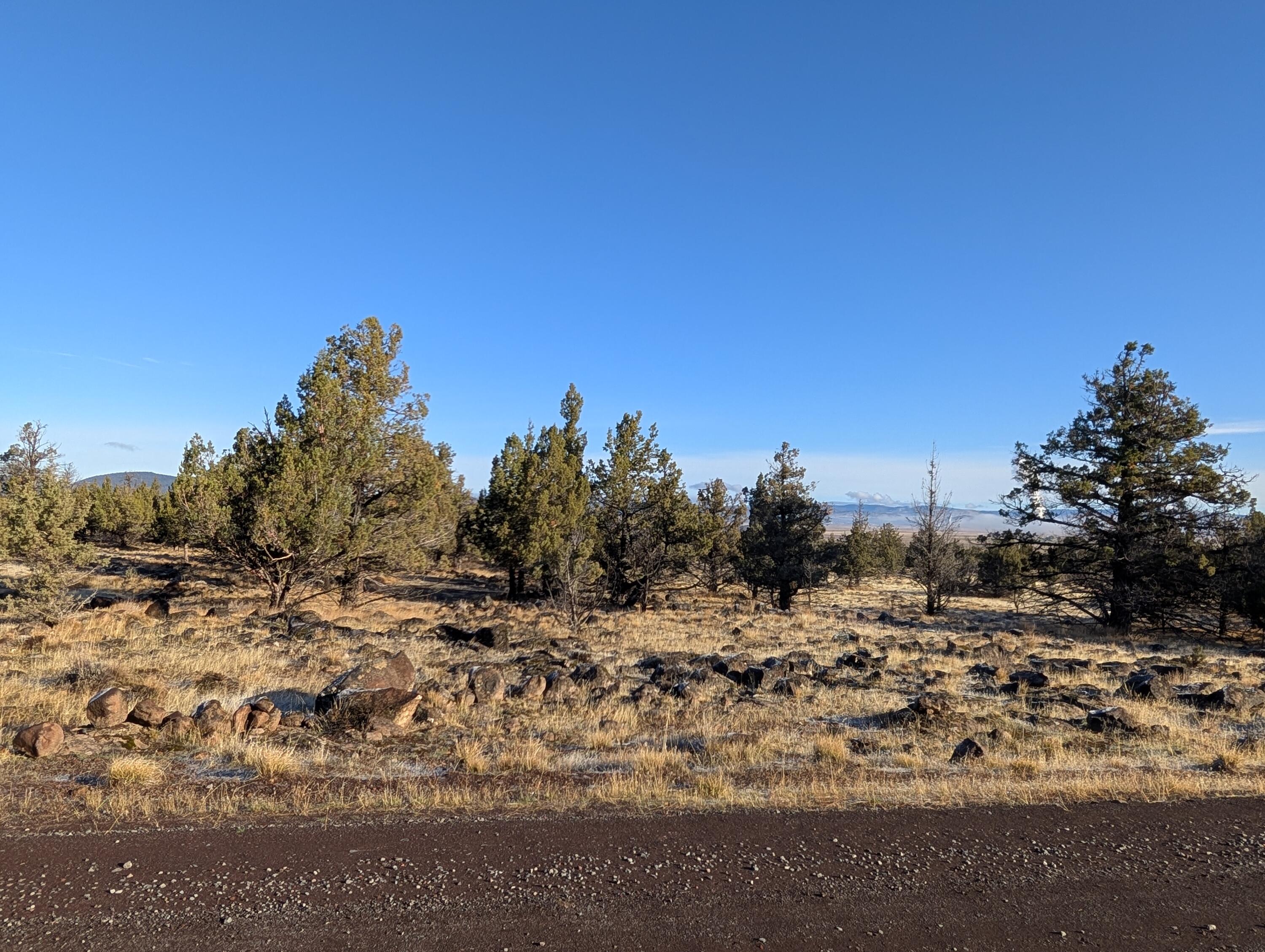 Cedar Trails - Land