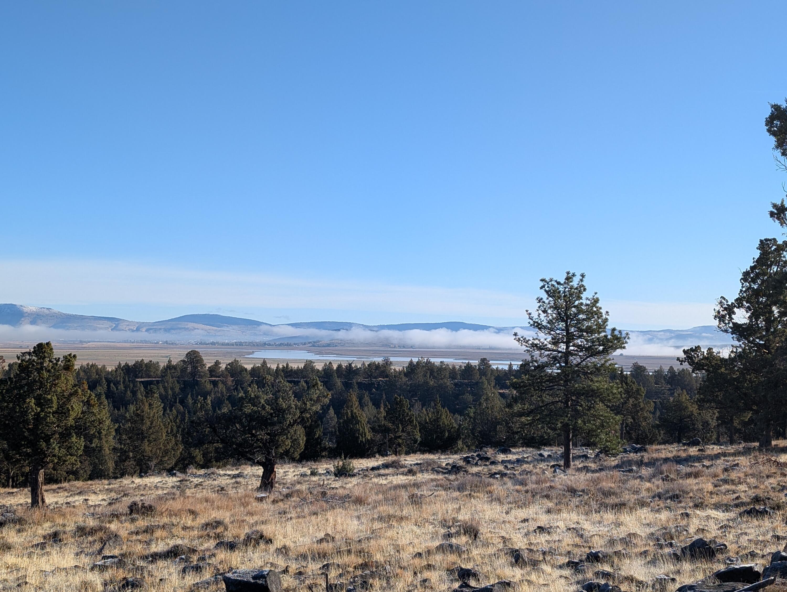 Cedar Trails - Land