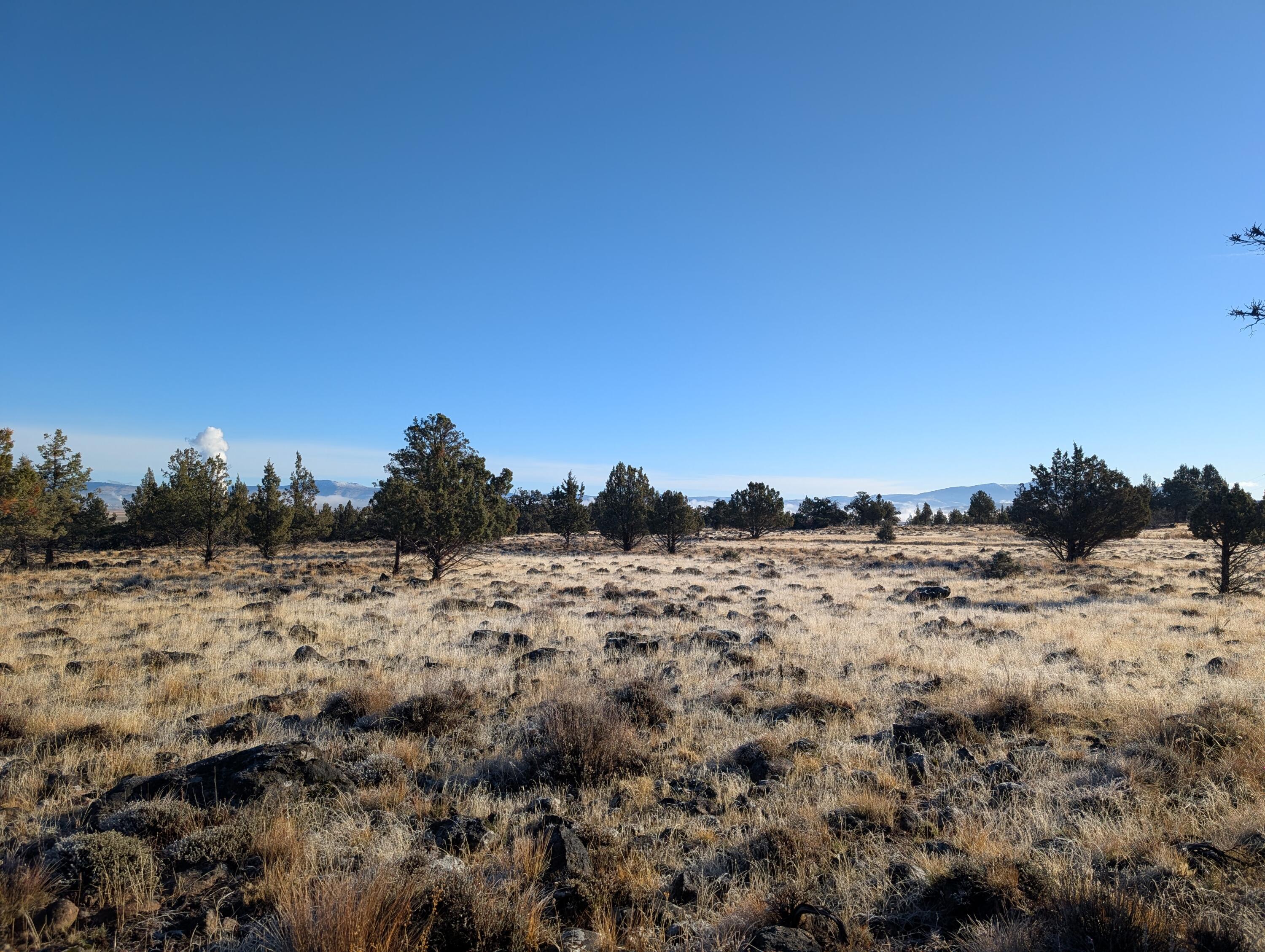 Cedar Trails - Land