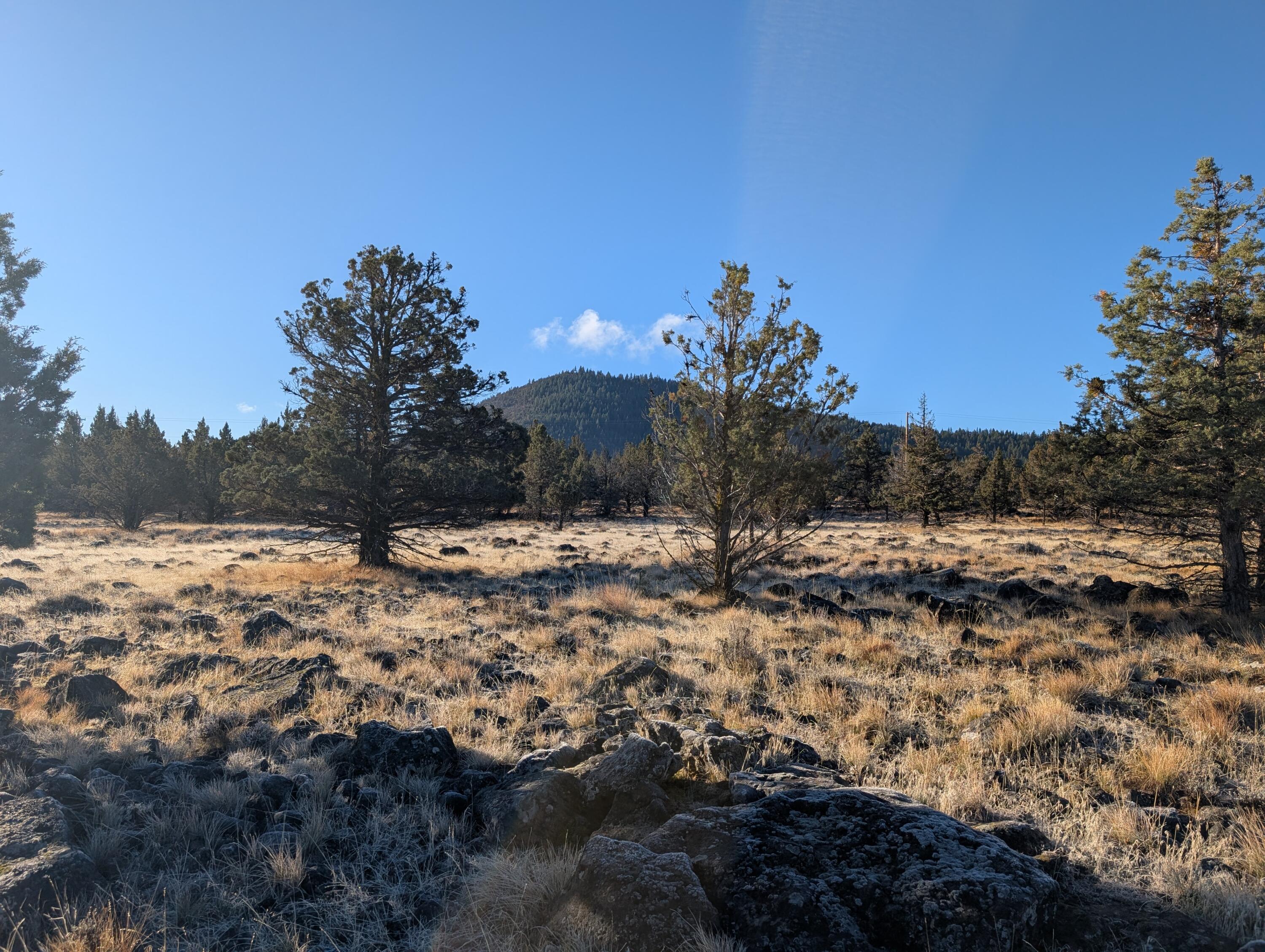 Cedar Trails - Land